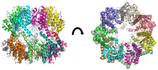 Biophysica 03 00002 g002