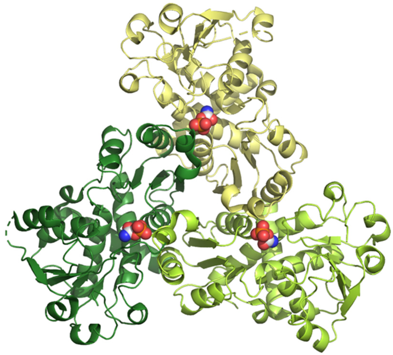 Biophysica 03 00002 g004 Biophysica 03 00002 g004