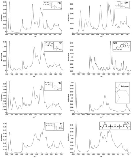 Biophysica 03 00011 g003