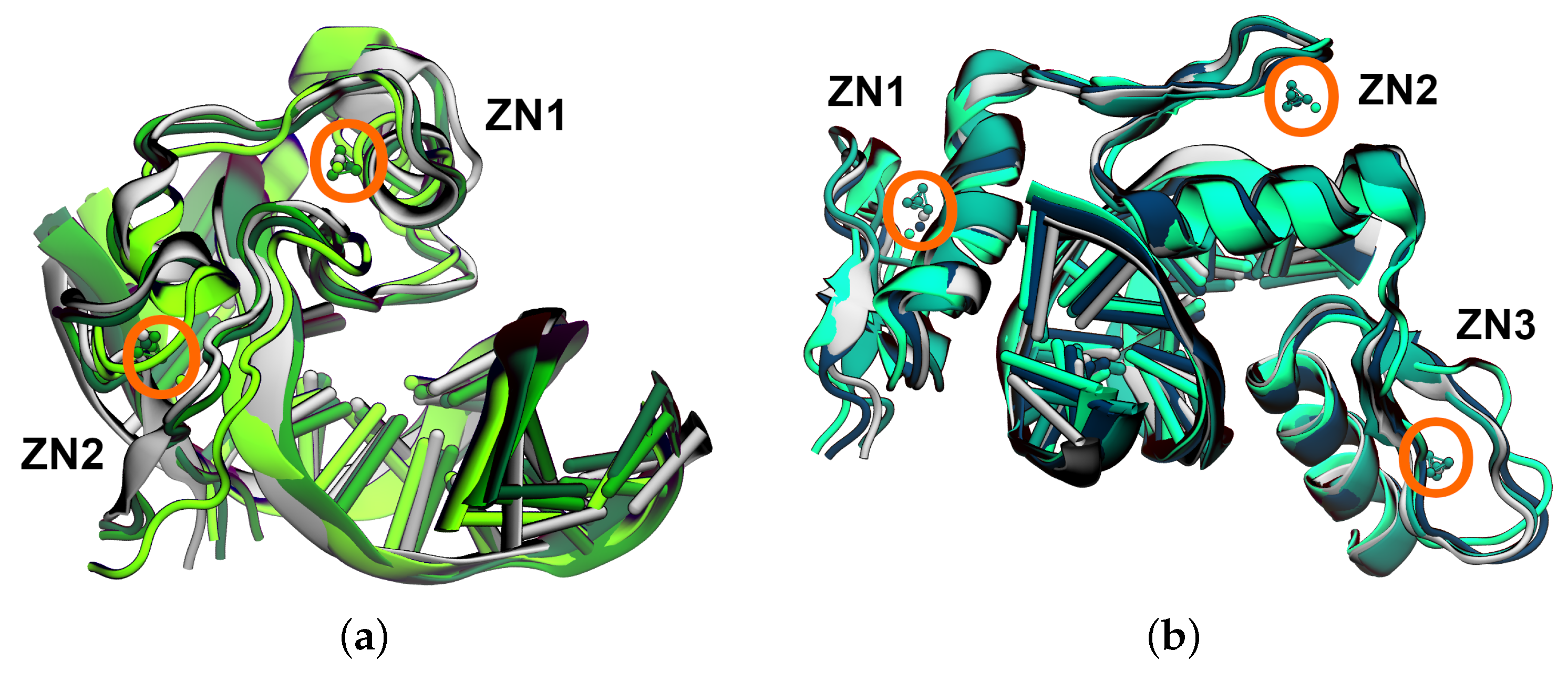 Biophysica 03 00014 g001