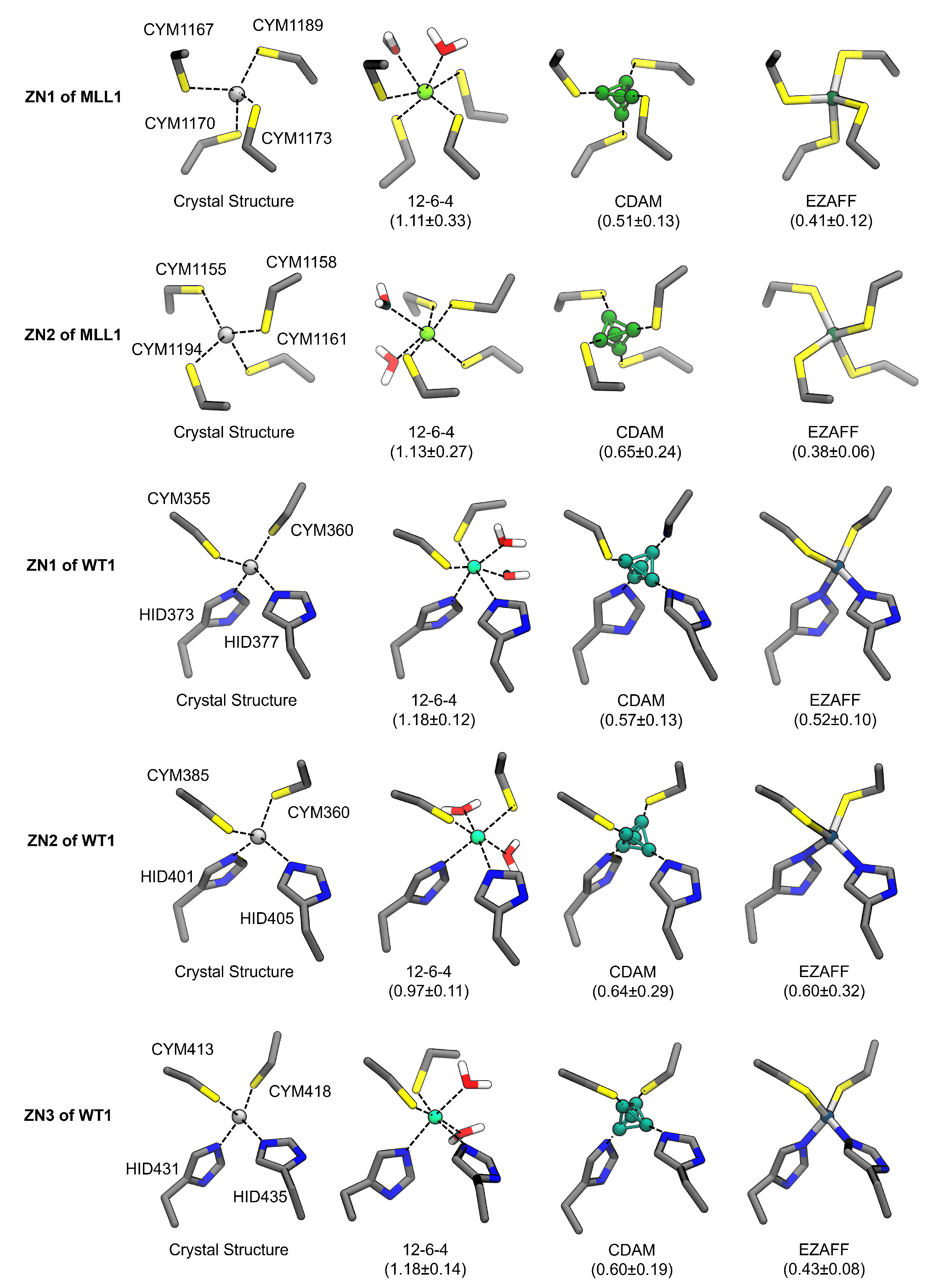 Biophysica 03 00014 g006