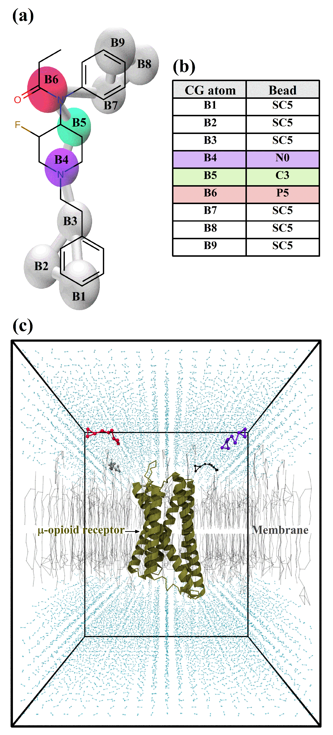 Biophysica 03 00017 g001 Biophysica 03 00017 g001