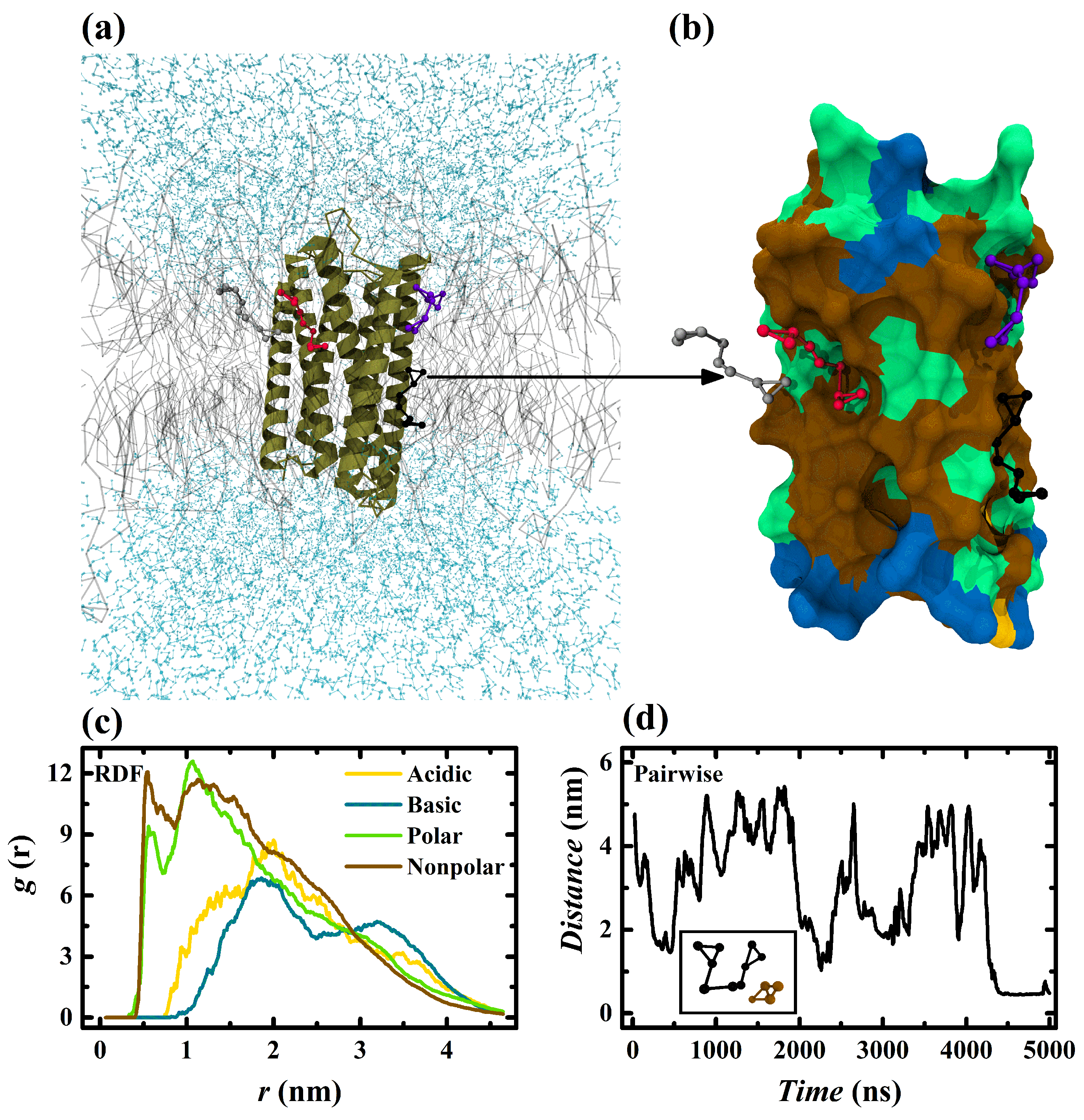 Biophysica 03 00017 g005 Biophysica 03 00017 g005
