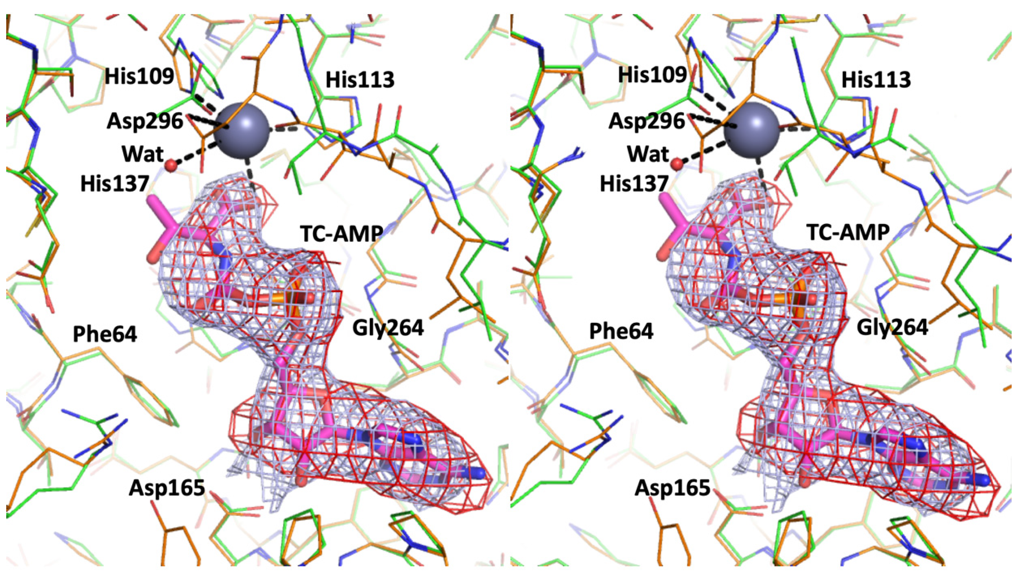 Biophysica 03 00019 g001