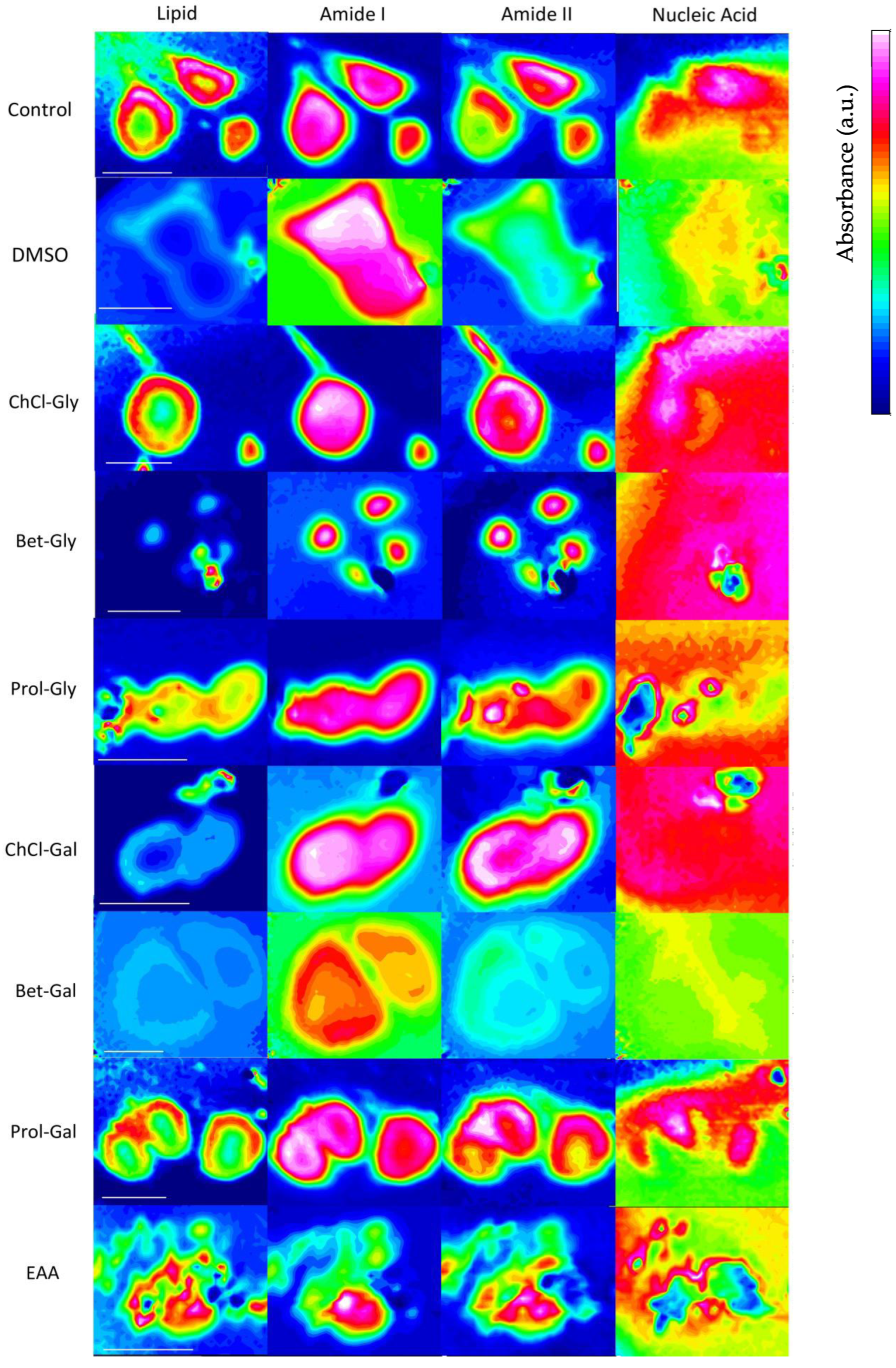 Biophysica 03 00021 g004
