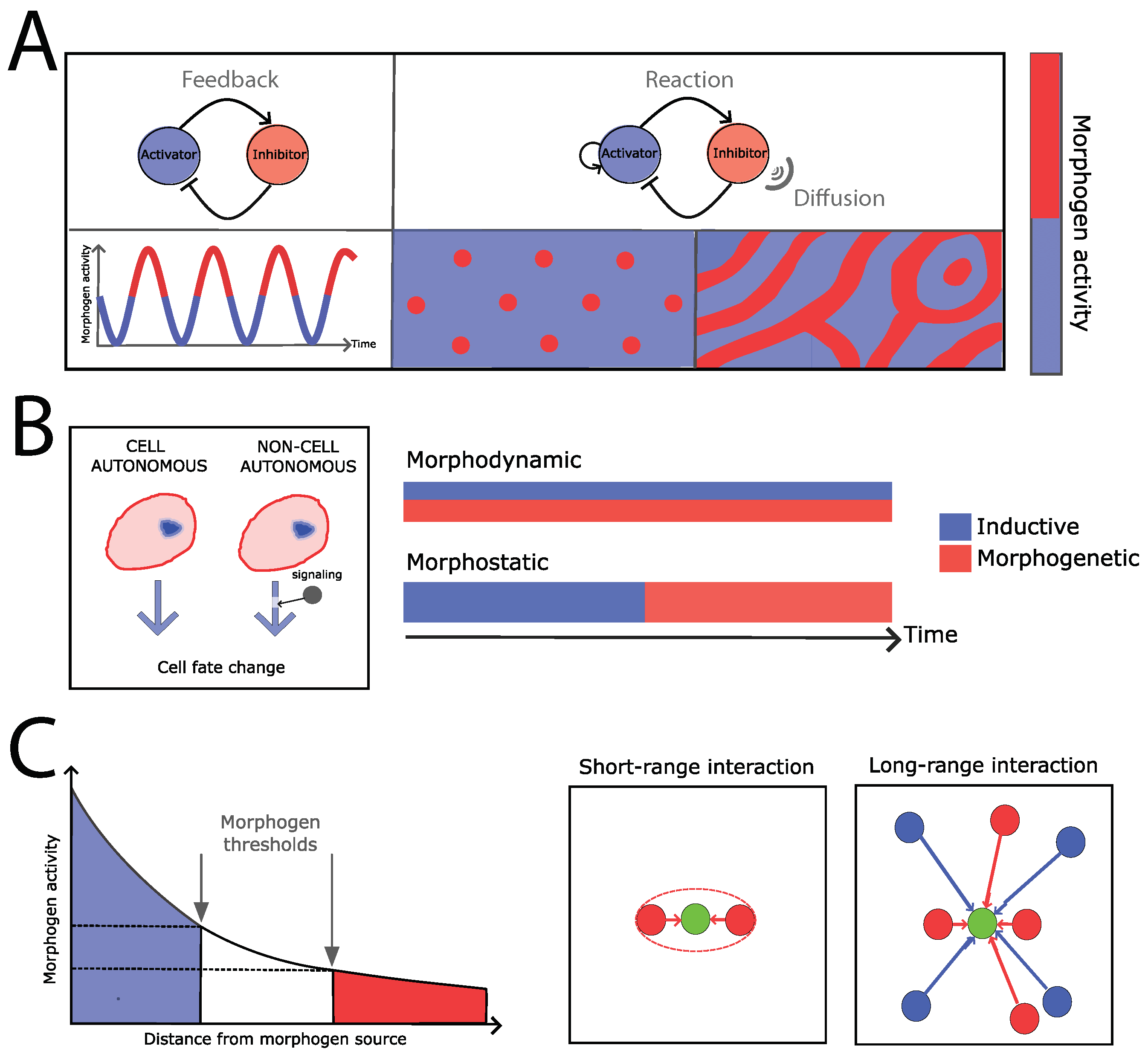 Biophysica 03 00022 g001