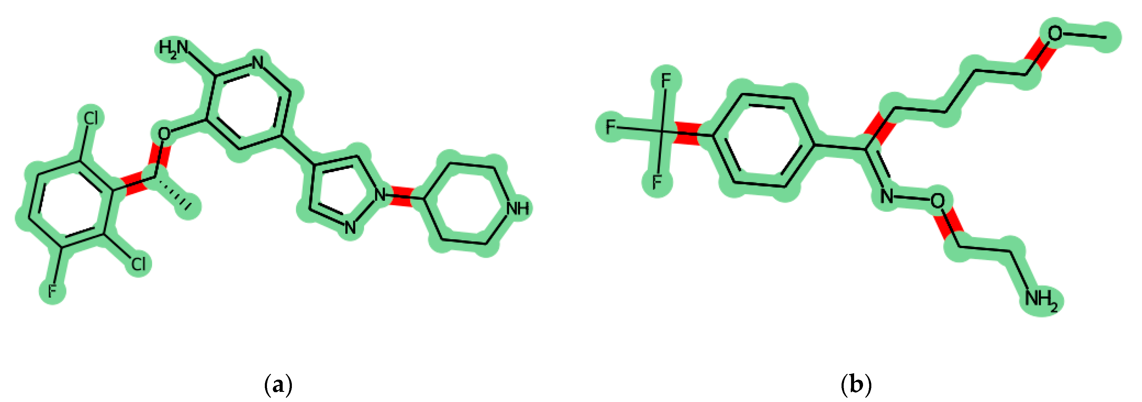 Biophysica 03 00024 g003