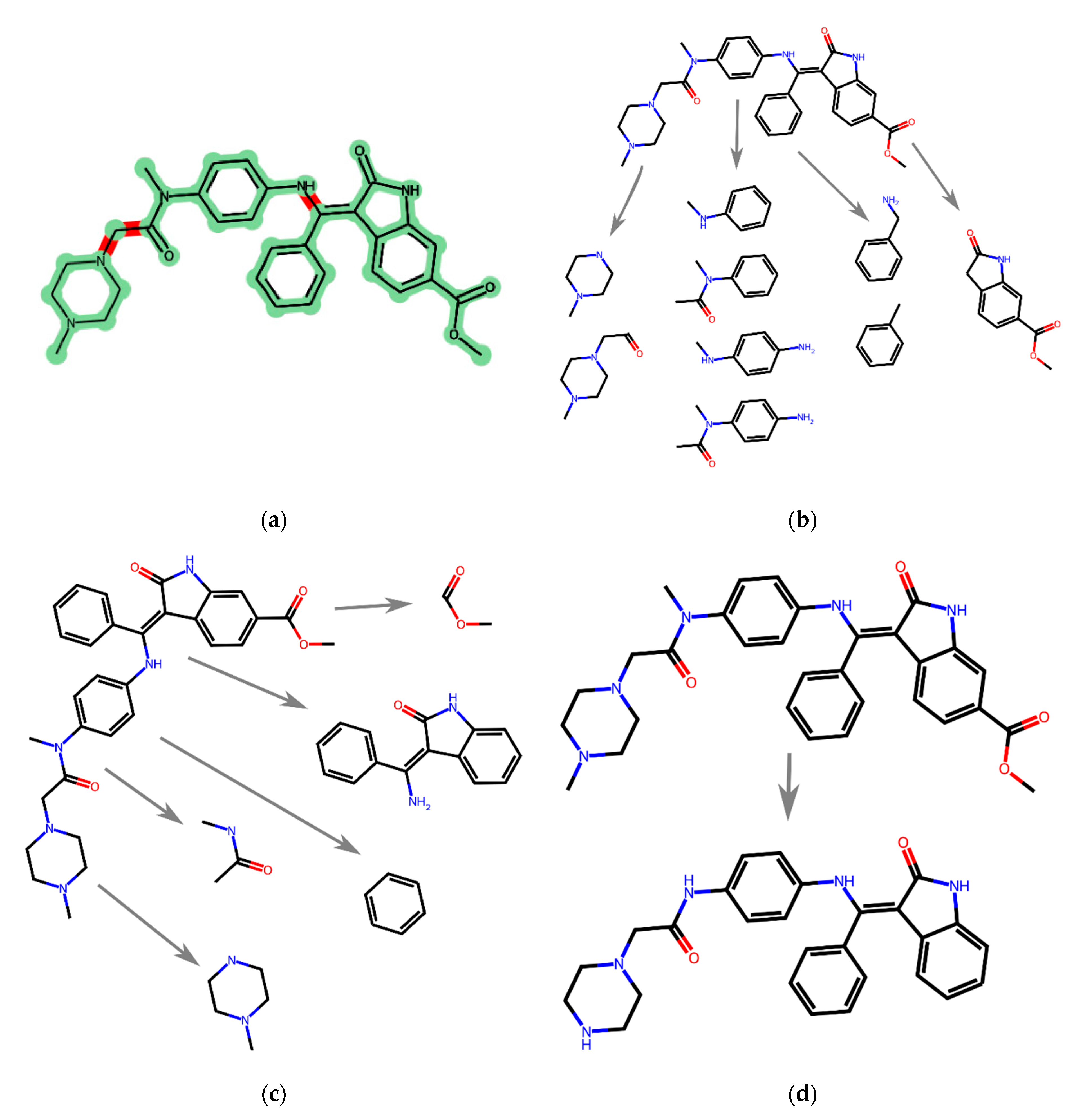 Biophysica 03 00024 g005