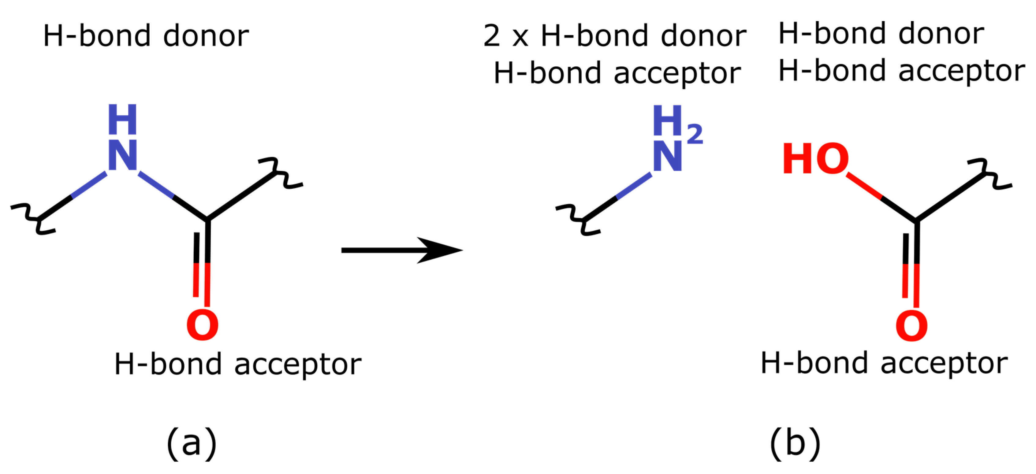 Biophysica 03 00024 g006