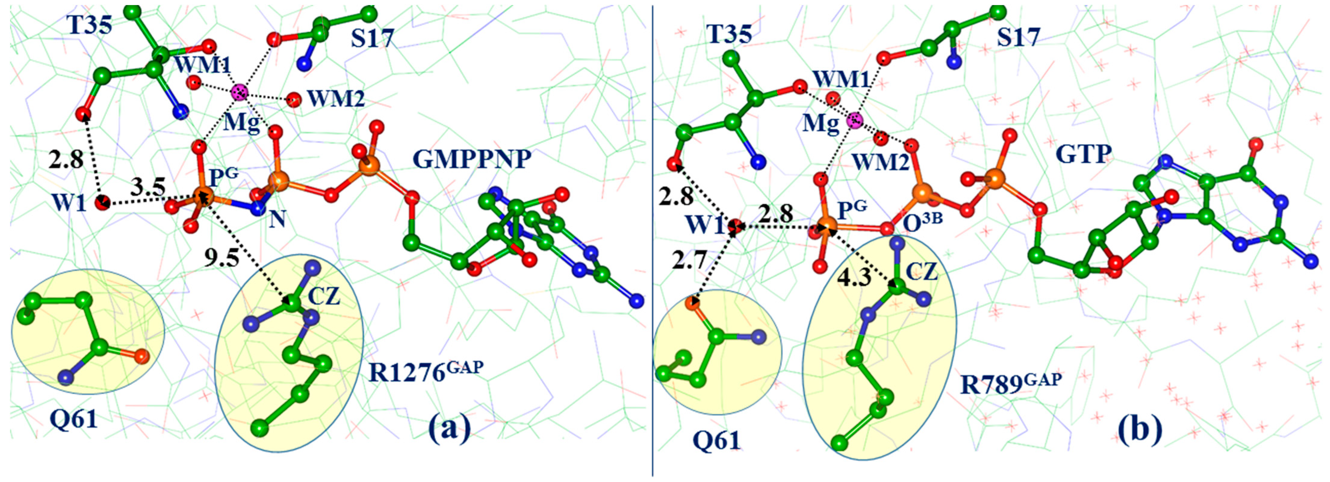 Biophysica 03 00025 g001