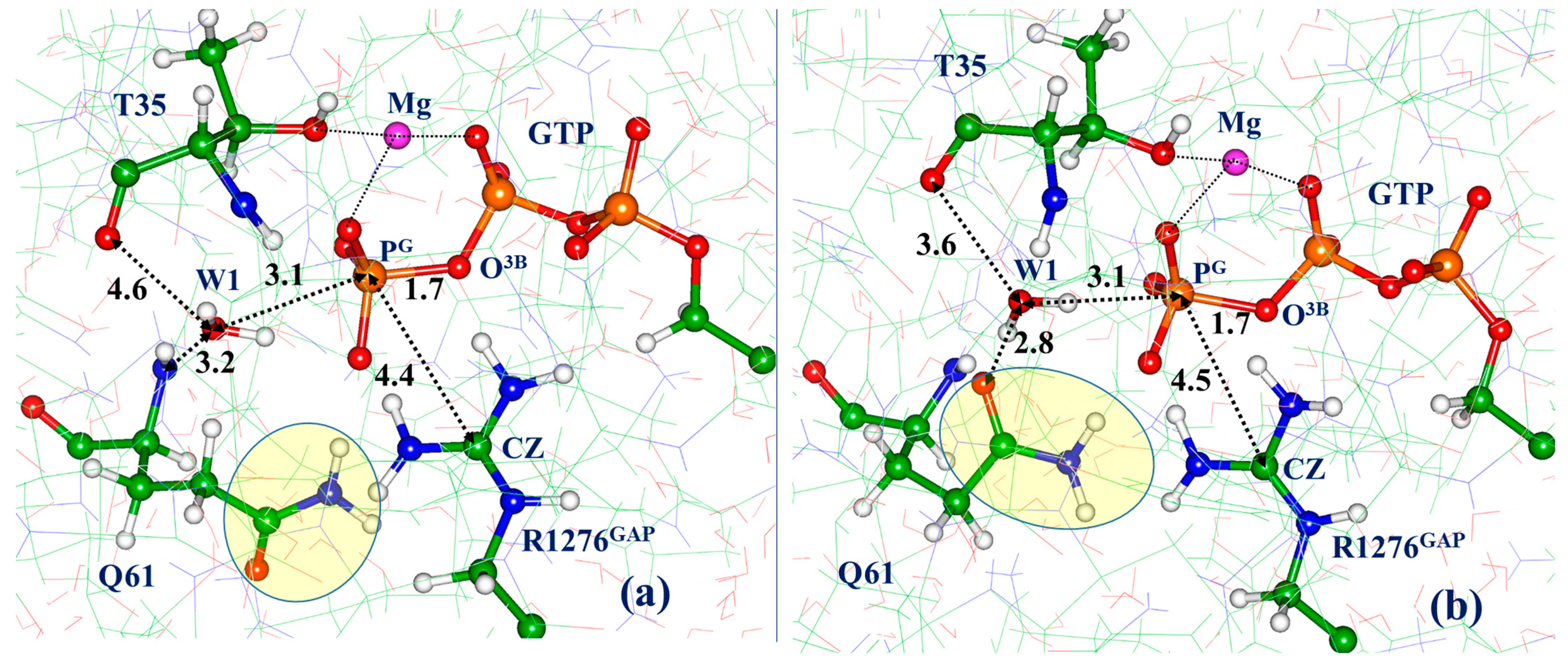 Biophysica 03 00025 g002