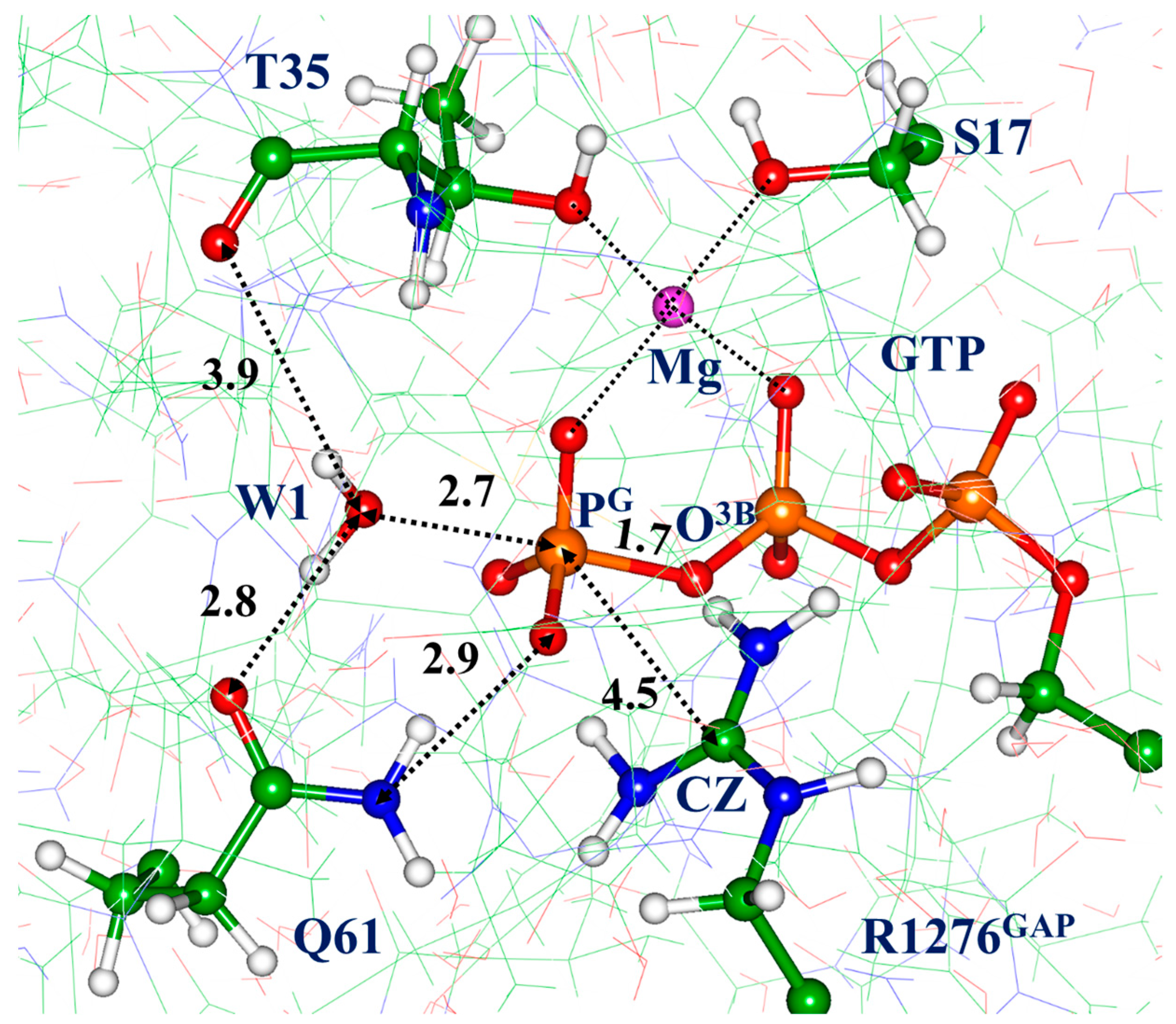 Biophysica 03 00025 g004