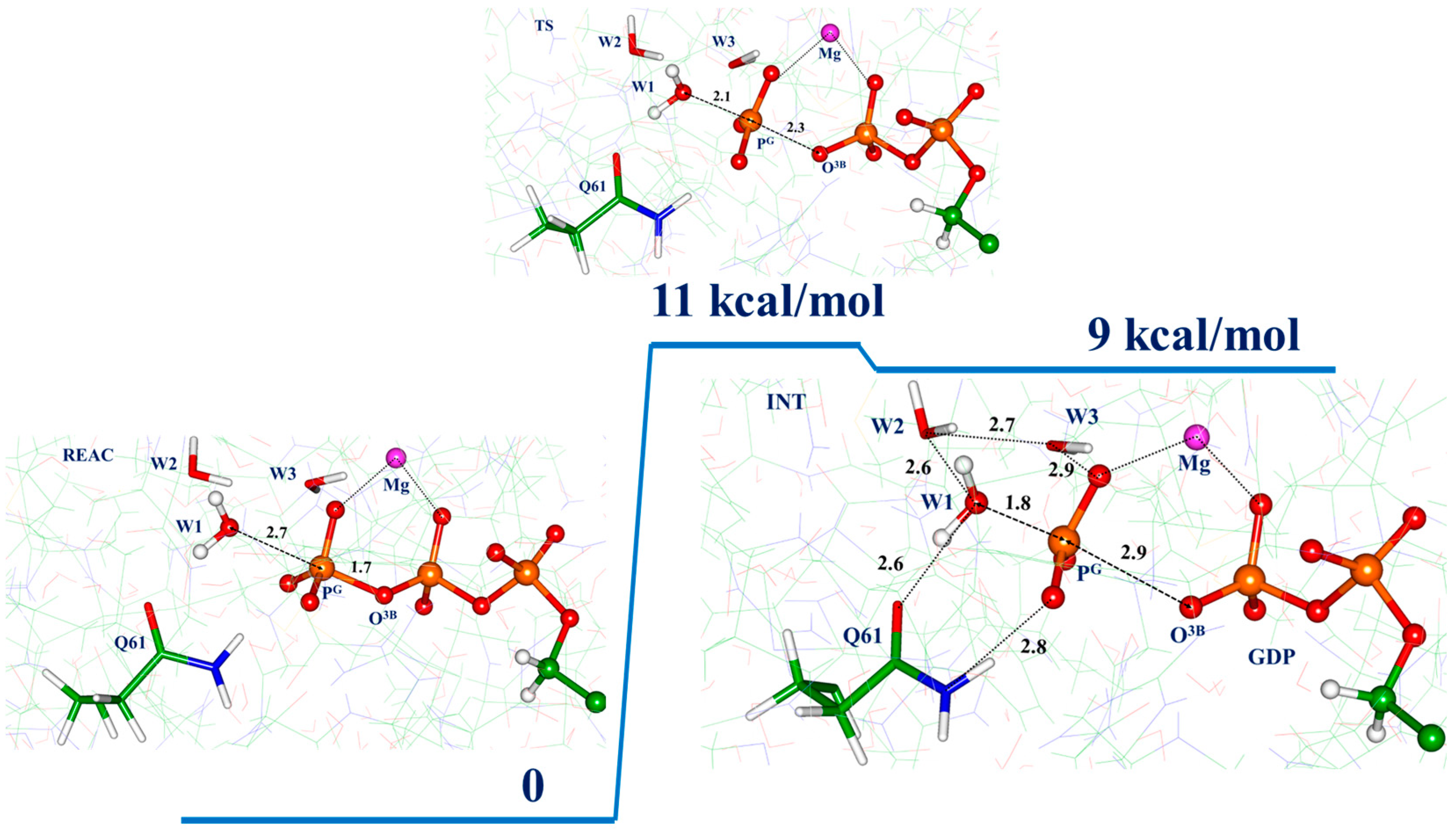 Biophysica 03 00025 g005