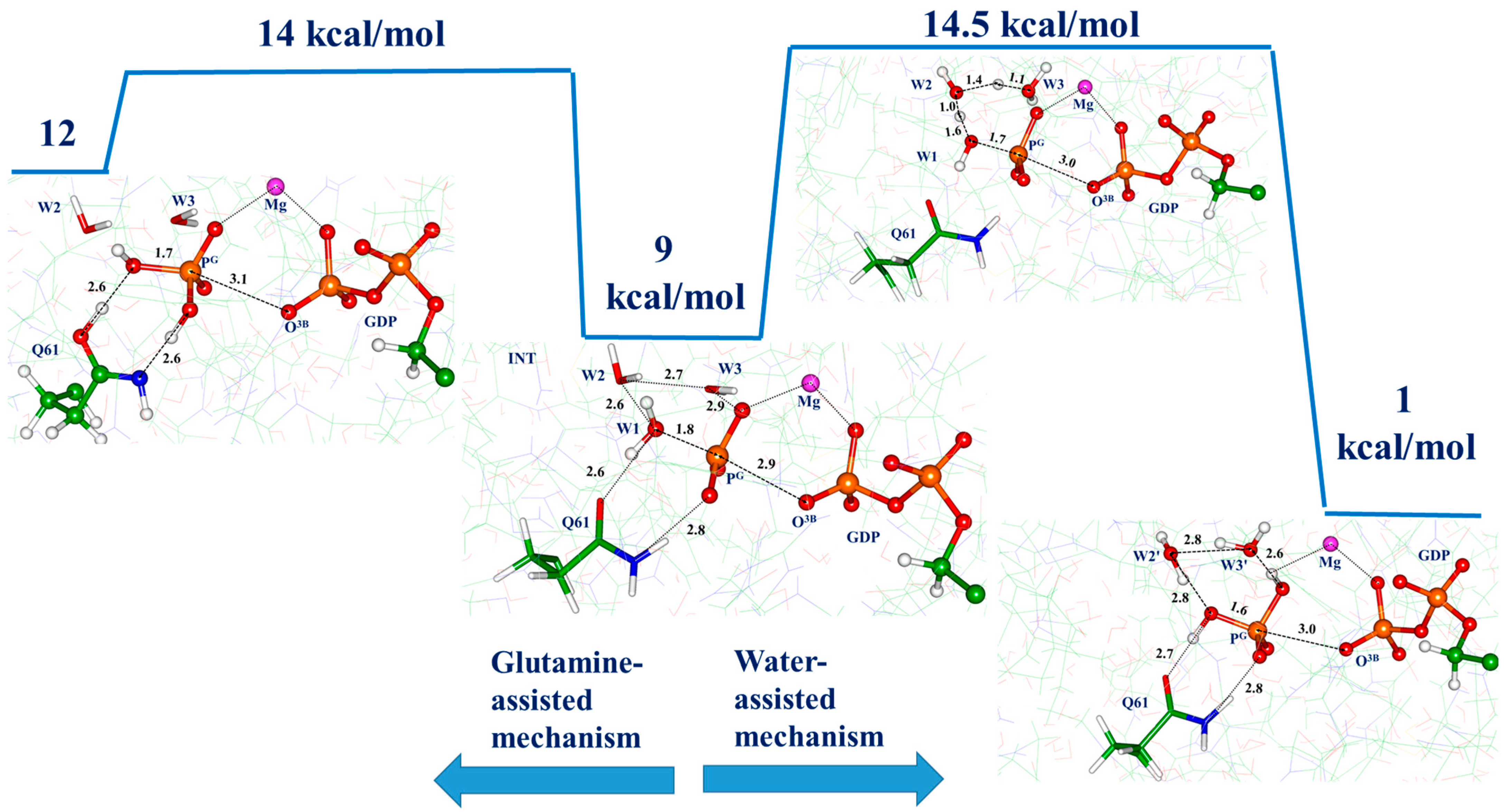 Biophysica 03 00025 g006