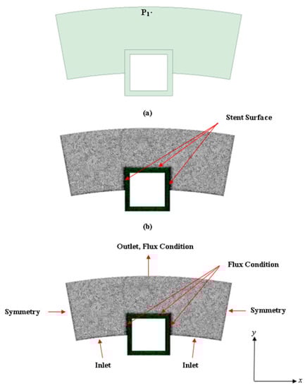 Biophysica 03 00026 g002