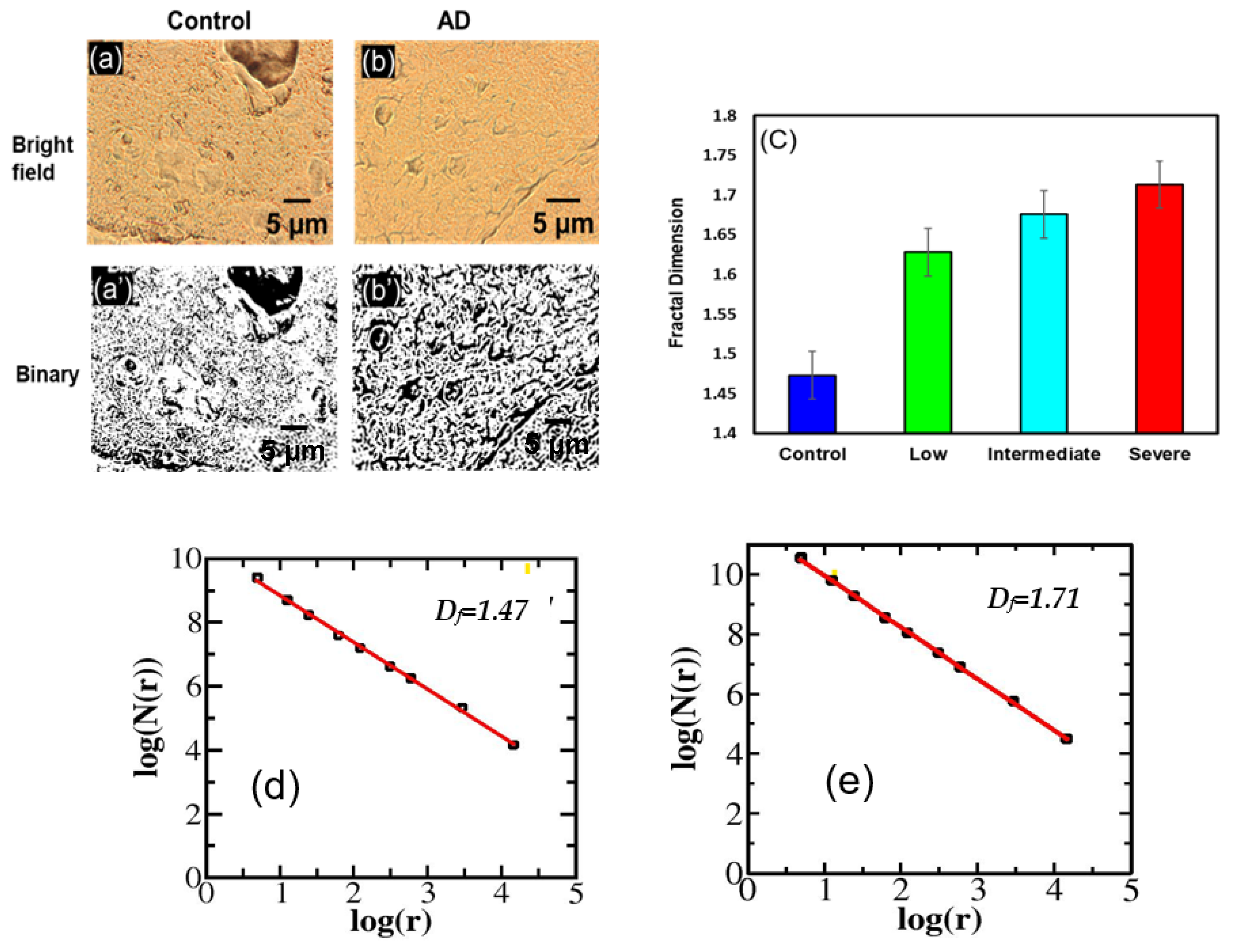 Biophysica 03 00039 g001