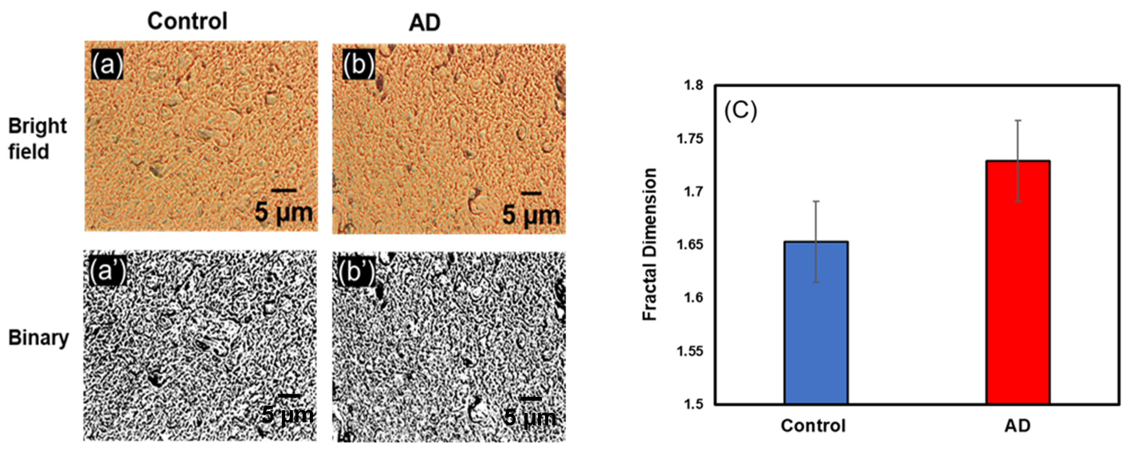 Biophysica 03 00039 g004