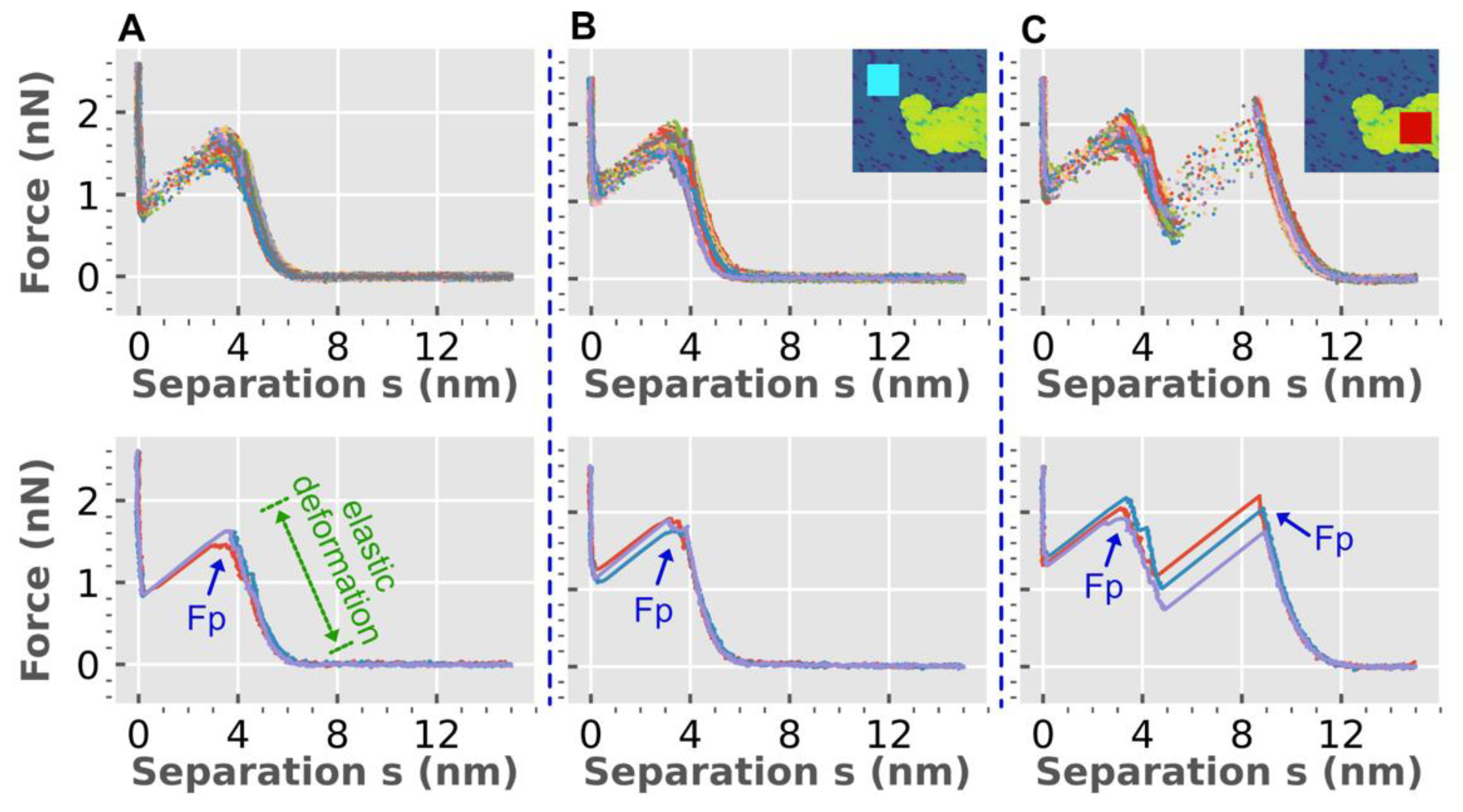 Biophysica 03 00040 g003