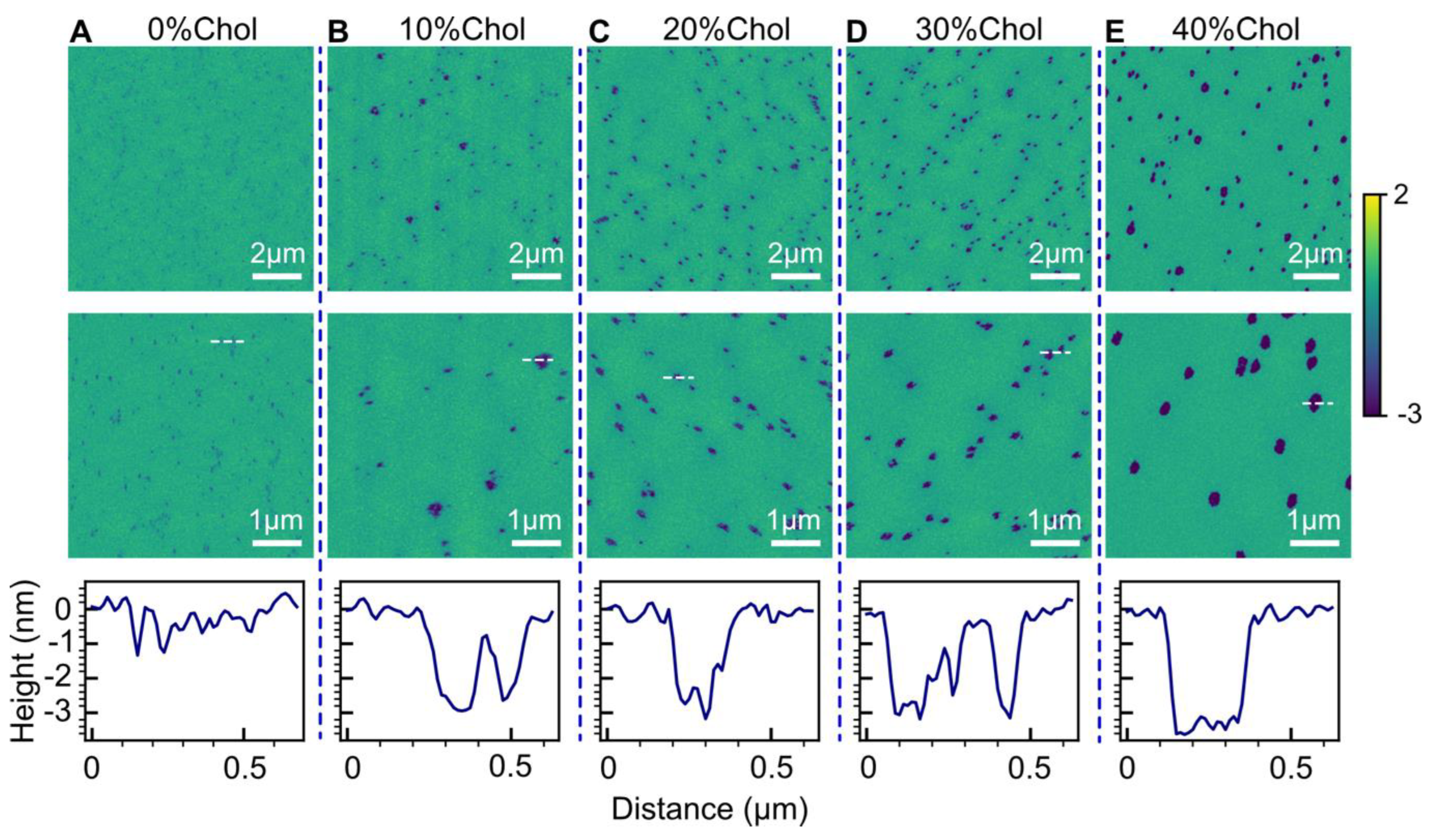 Biophysica 03 00040 g005