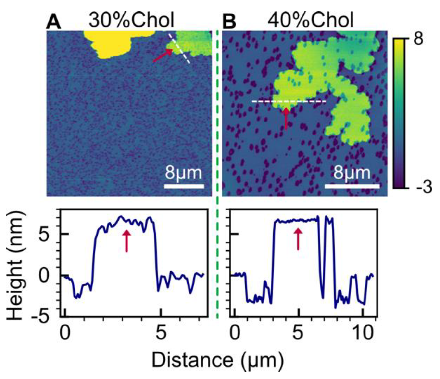 Biophysica 03 00040 g006