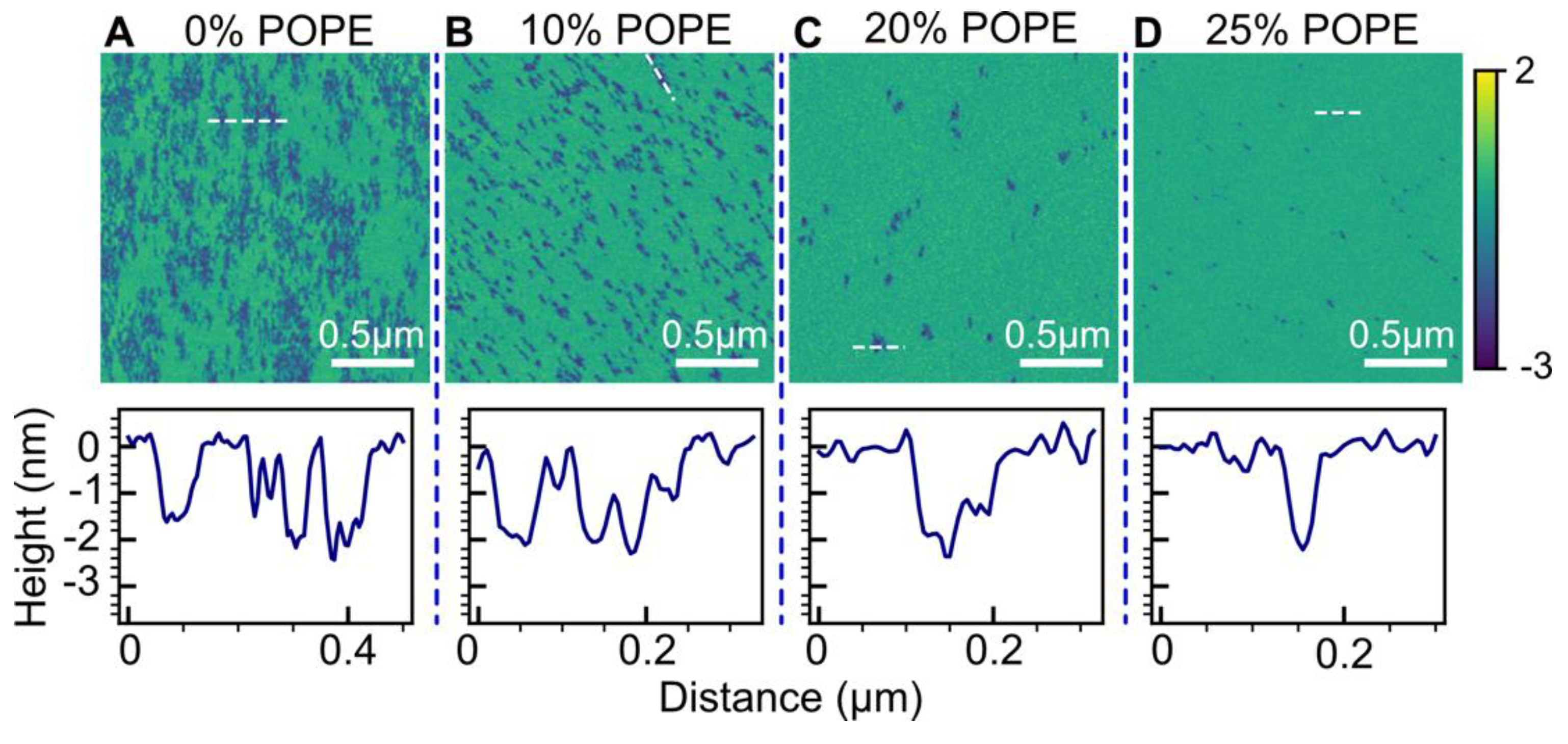 Biophysica 03 00040 g007