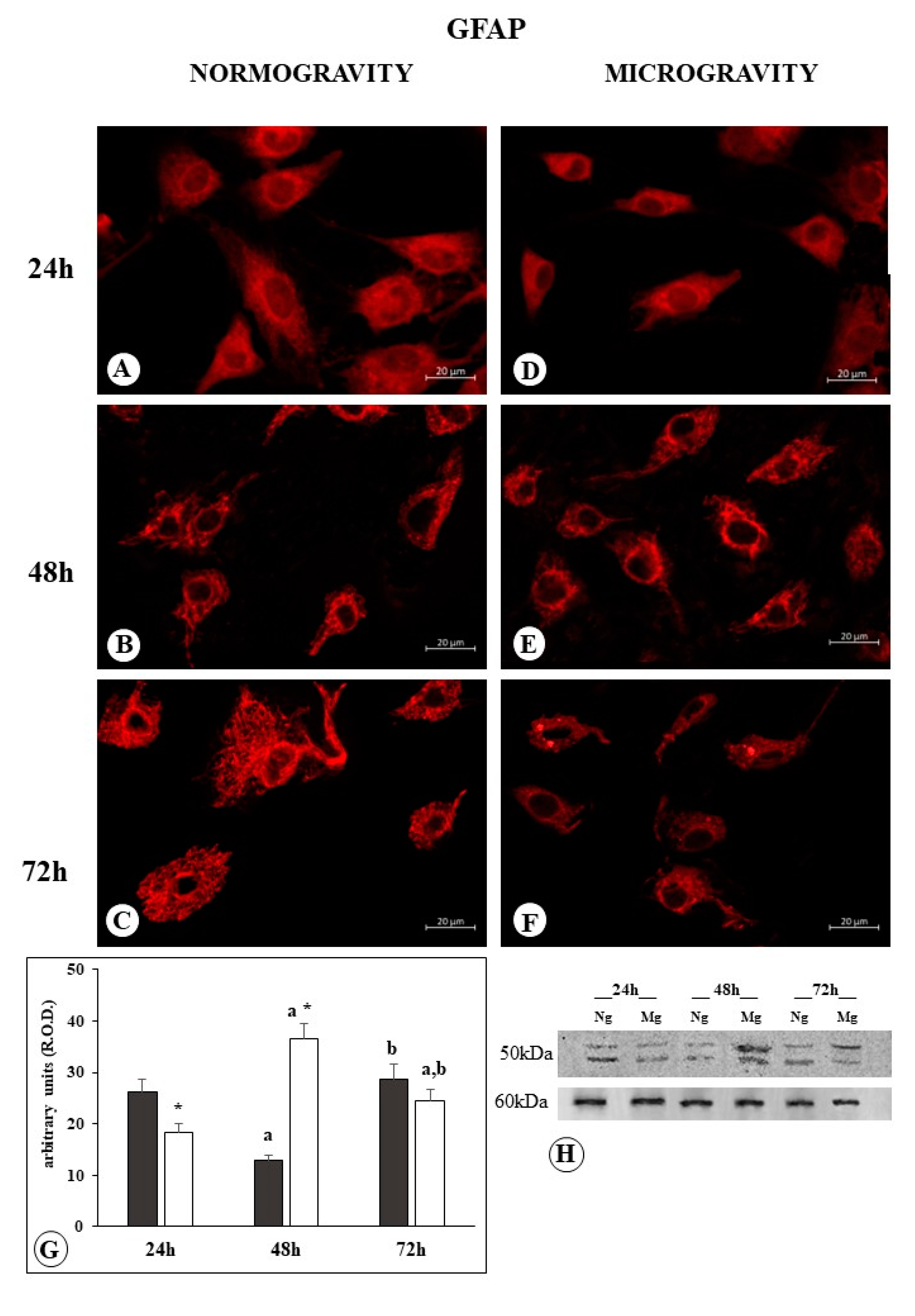Biophysica 03 00043 g002