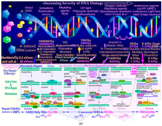 Biophysica 03 00045 g002a Biophysica 03 00045 g002a