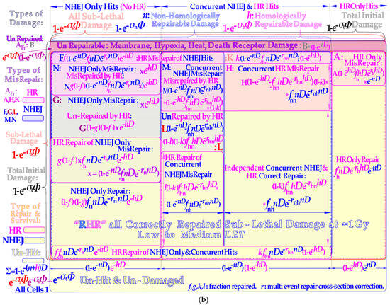 Biophysica 03 00045 g002b