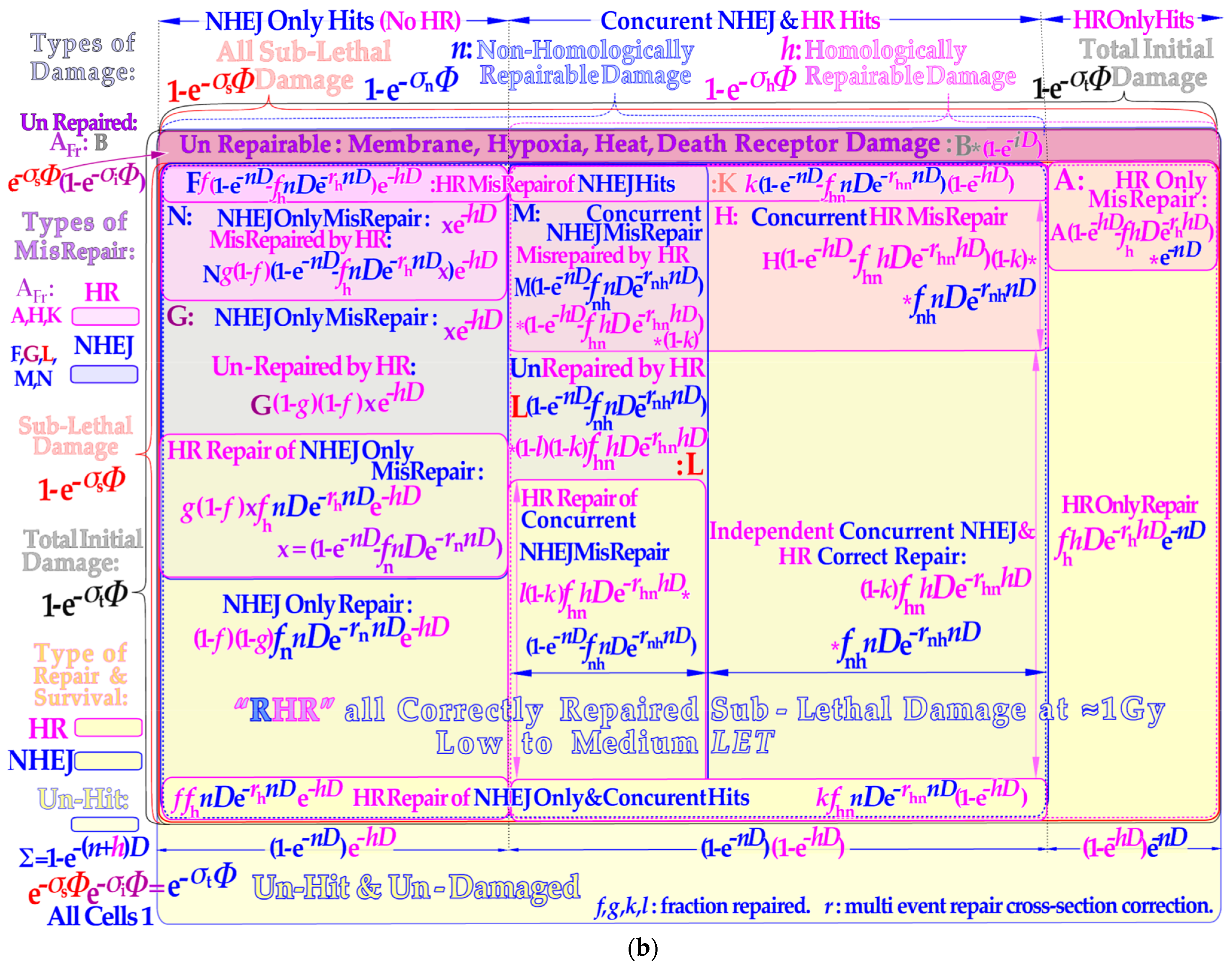 Biophysica 03 00045 g002b Biophysica 03 00045 g002b
