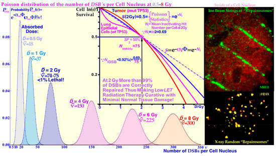Biophysica 03 00045 g005