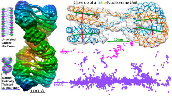 Biophysica 03 00045 g006