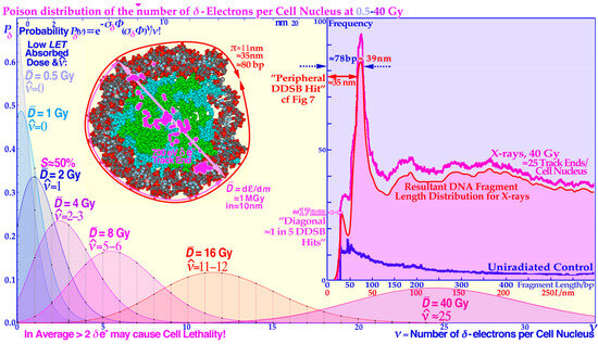 Biophysica 03 00045 g008