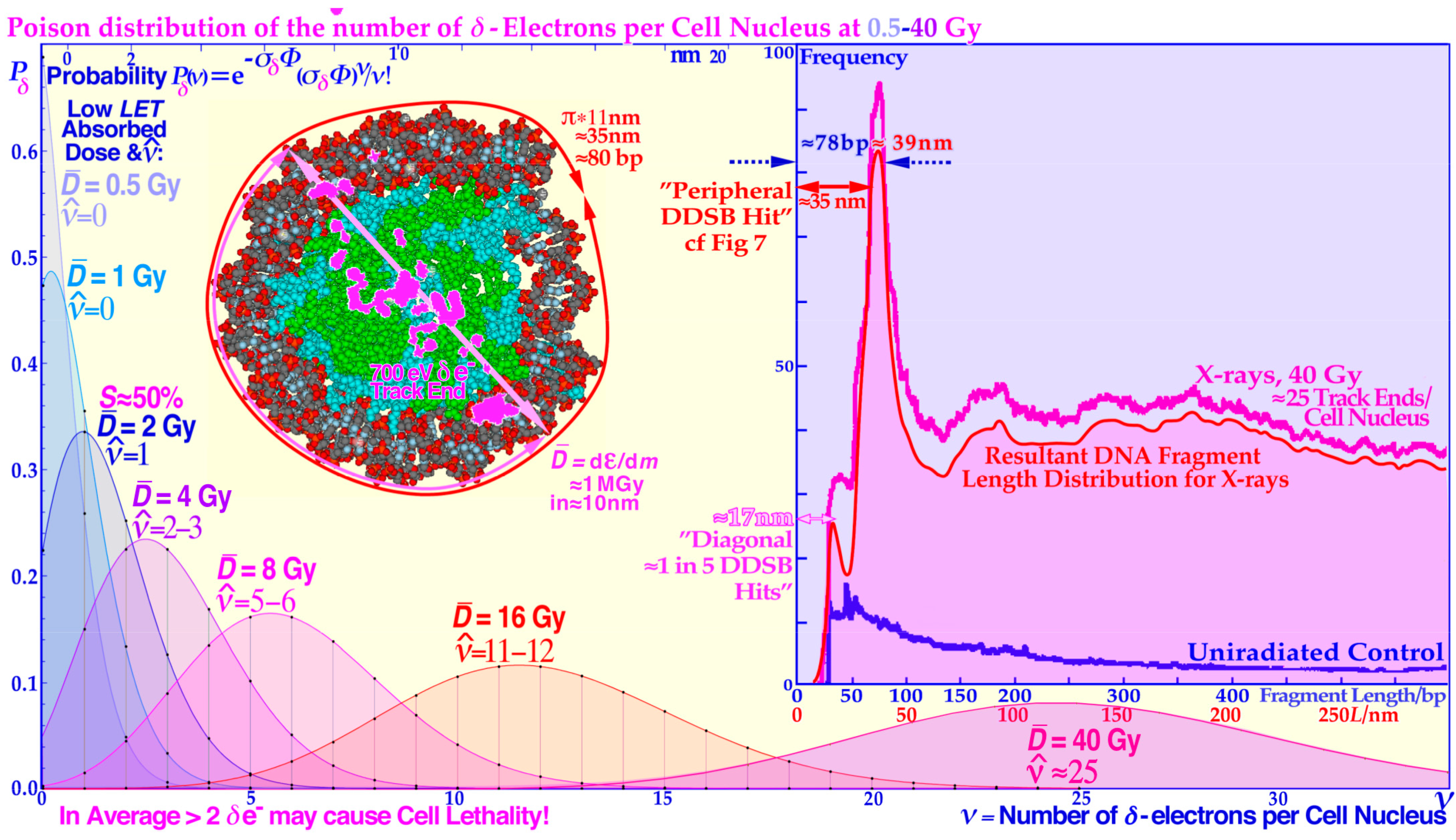 Biophysica 03 00045 g008 Biophysica 03 00045 g008