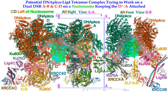 Biophysica 03 00045 g010
