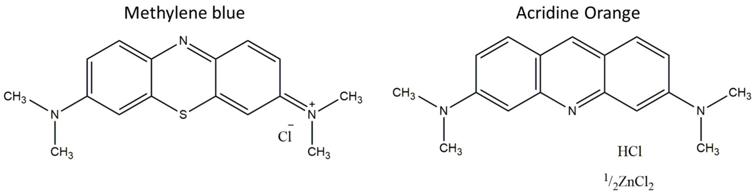 Biophysica 04 00002 g001