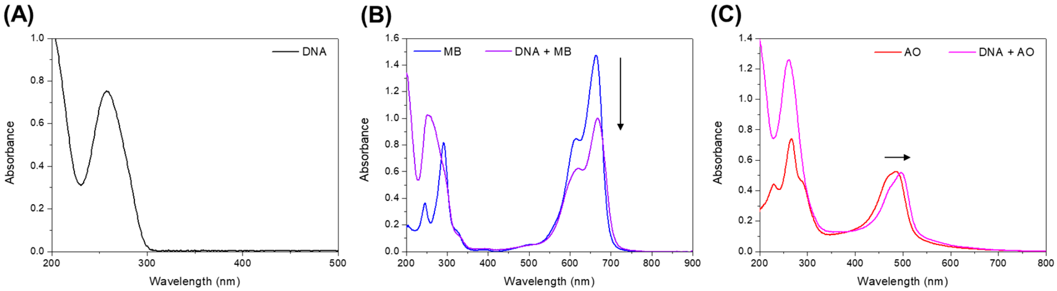 Biophysica 04 00002 g002