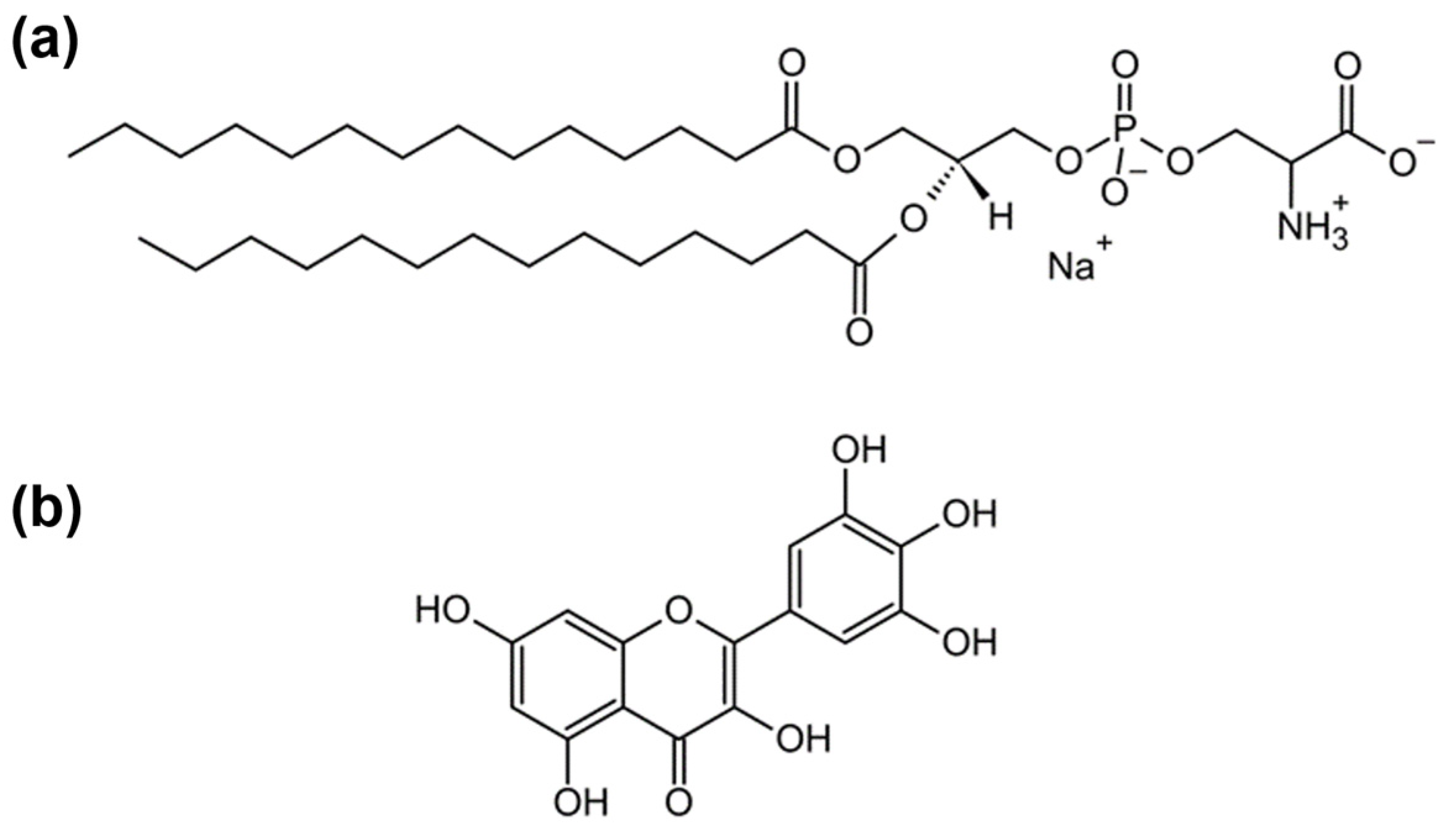 Biophysica 04 00007 g001 Biophysica 04 00007 g001