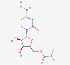 Biophysica 04 00009 i005