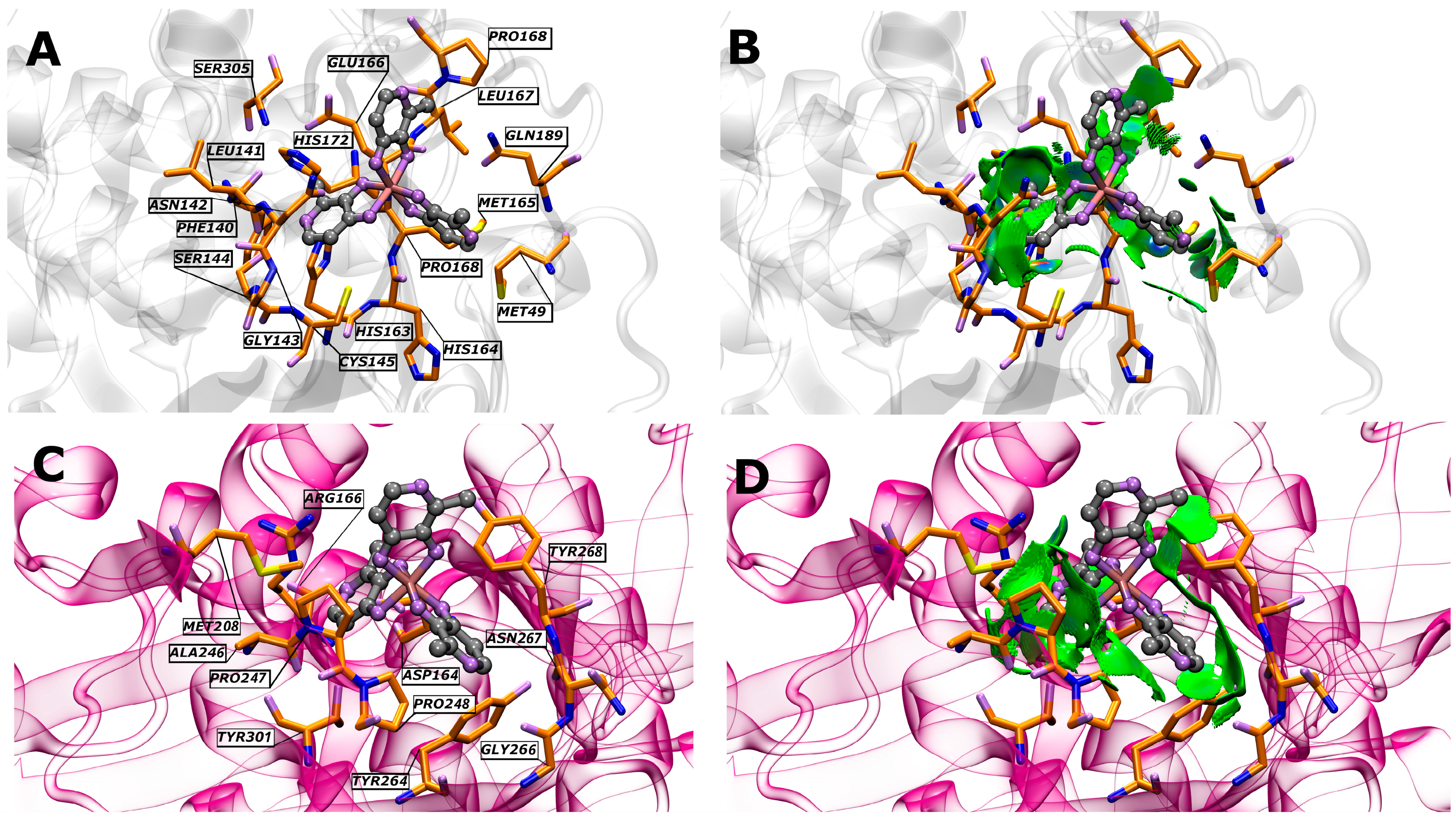 Biophysica 04 00013 g002