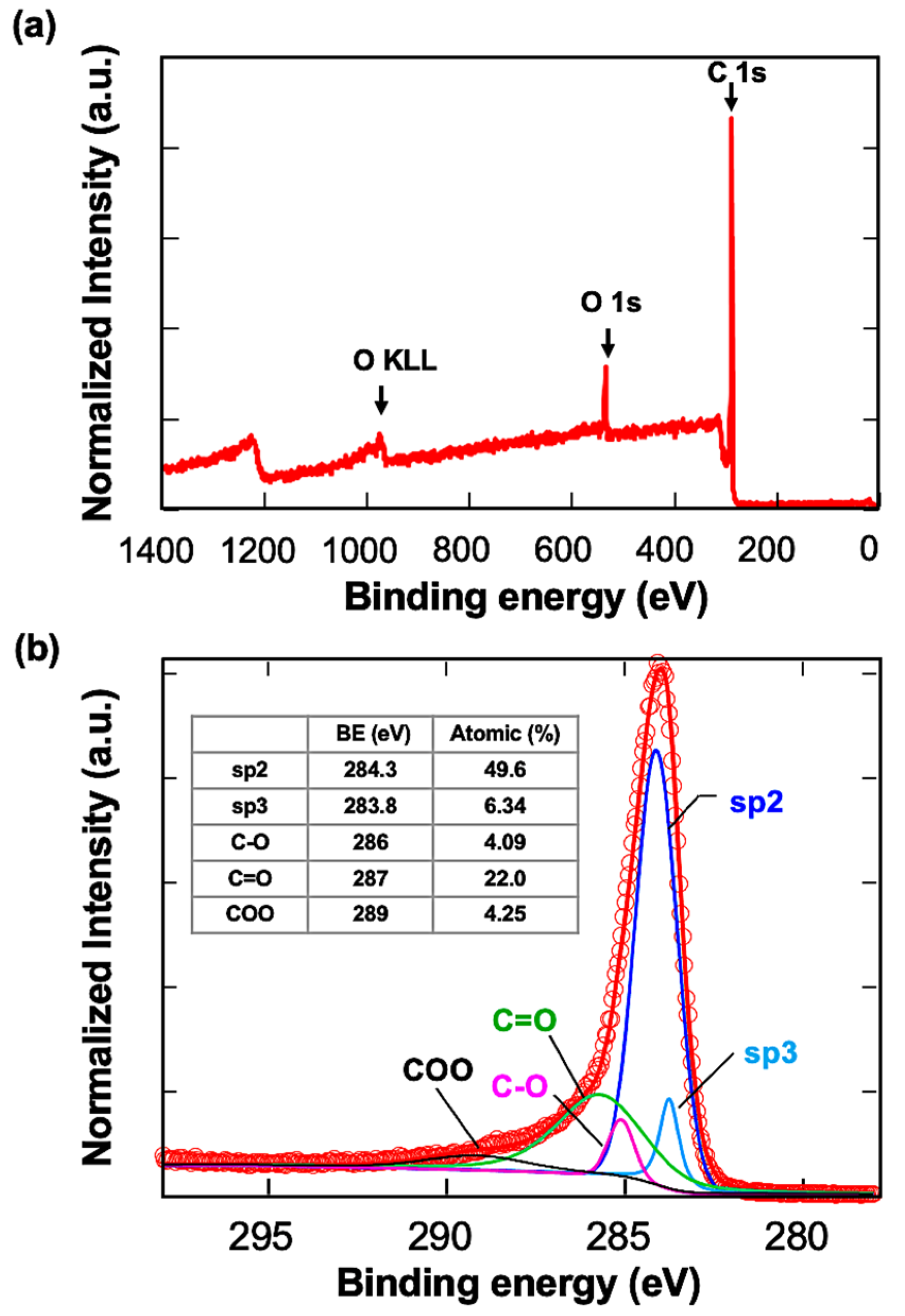 Biophysica 04 00018 g001