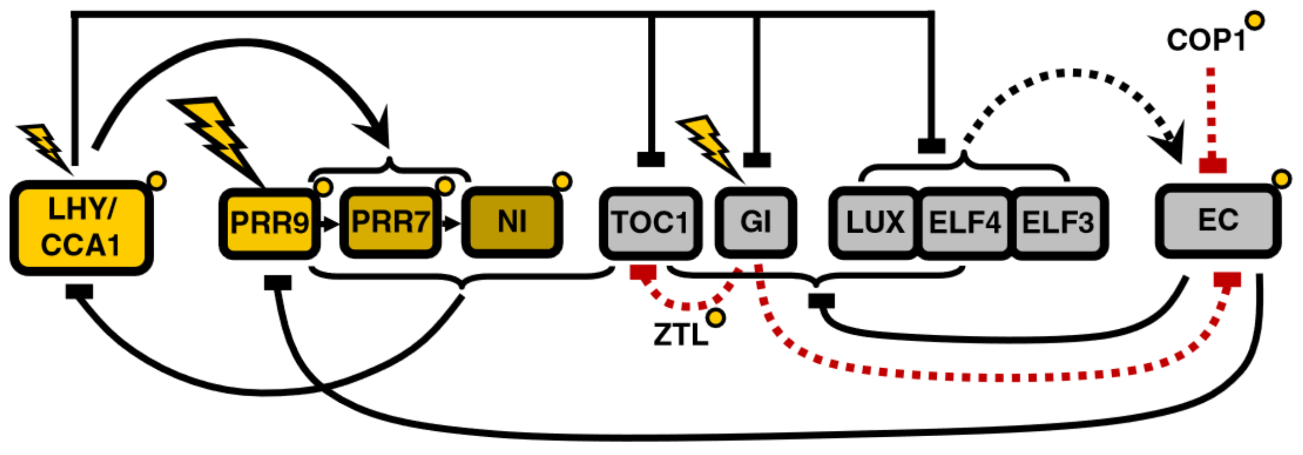 Biophysica 04 00019 g004