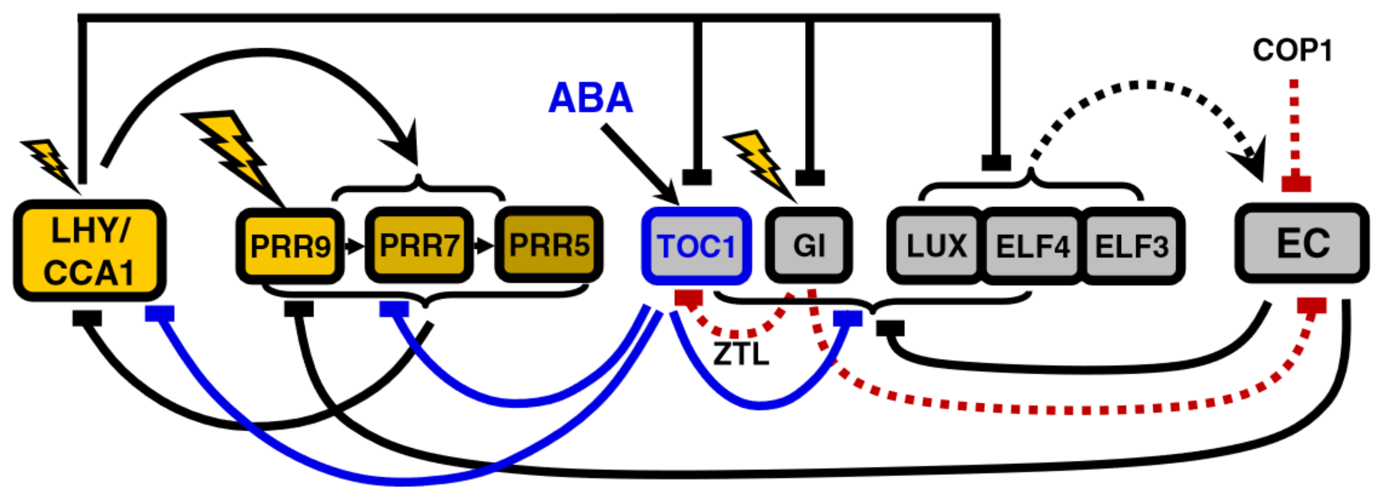 Biophysica 04 00019 g005