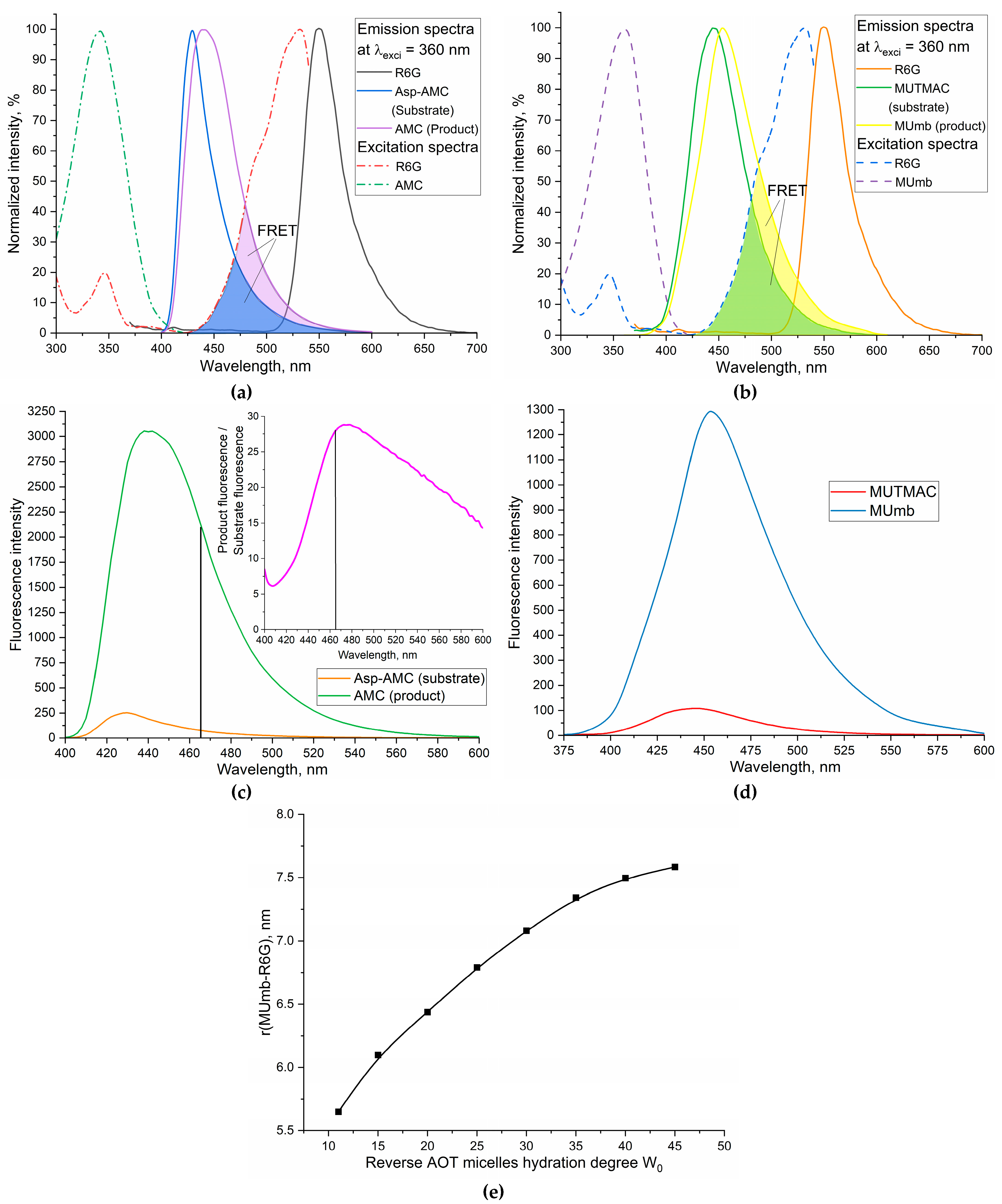 Biophysica 04 00024 g001