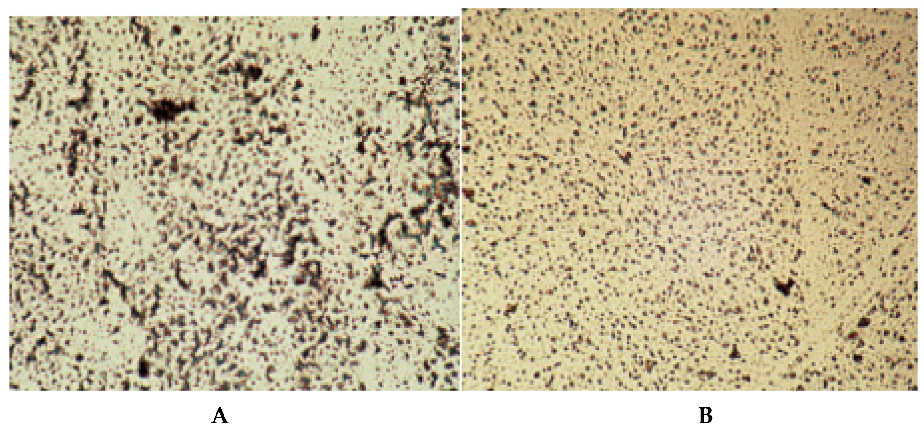 Biophysica 04 00026 g013