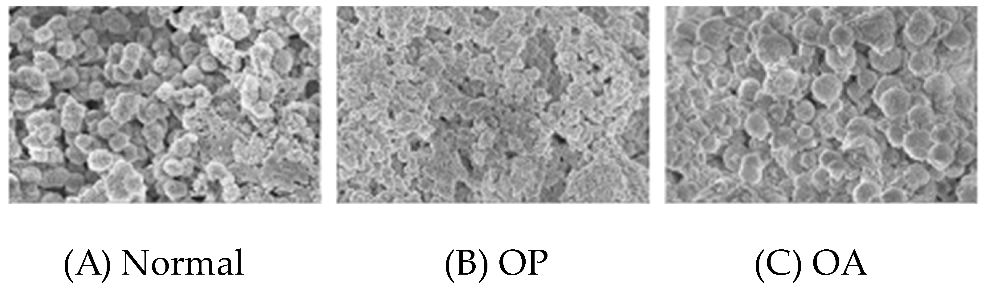 Biophysica 04 00026 g020