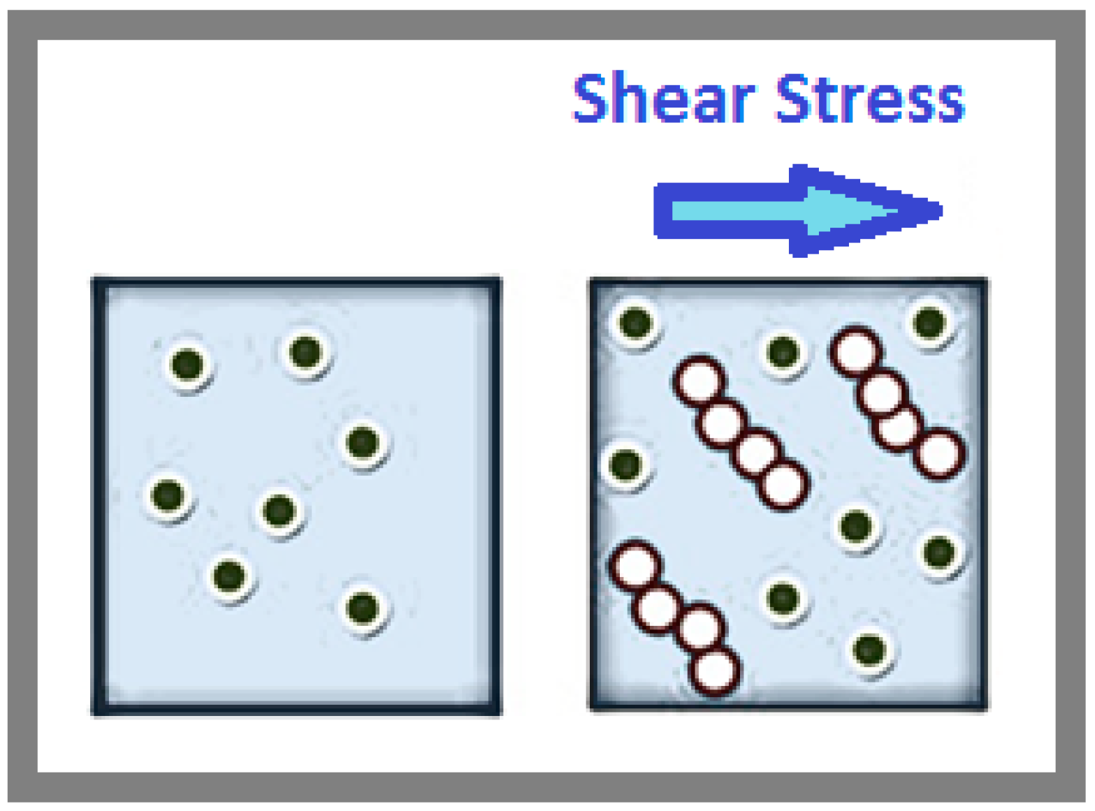 Biophysica 04 00029 g004