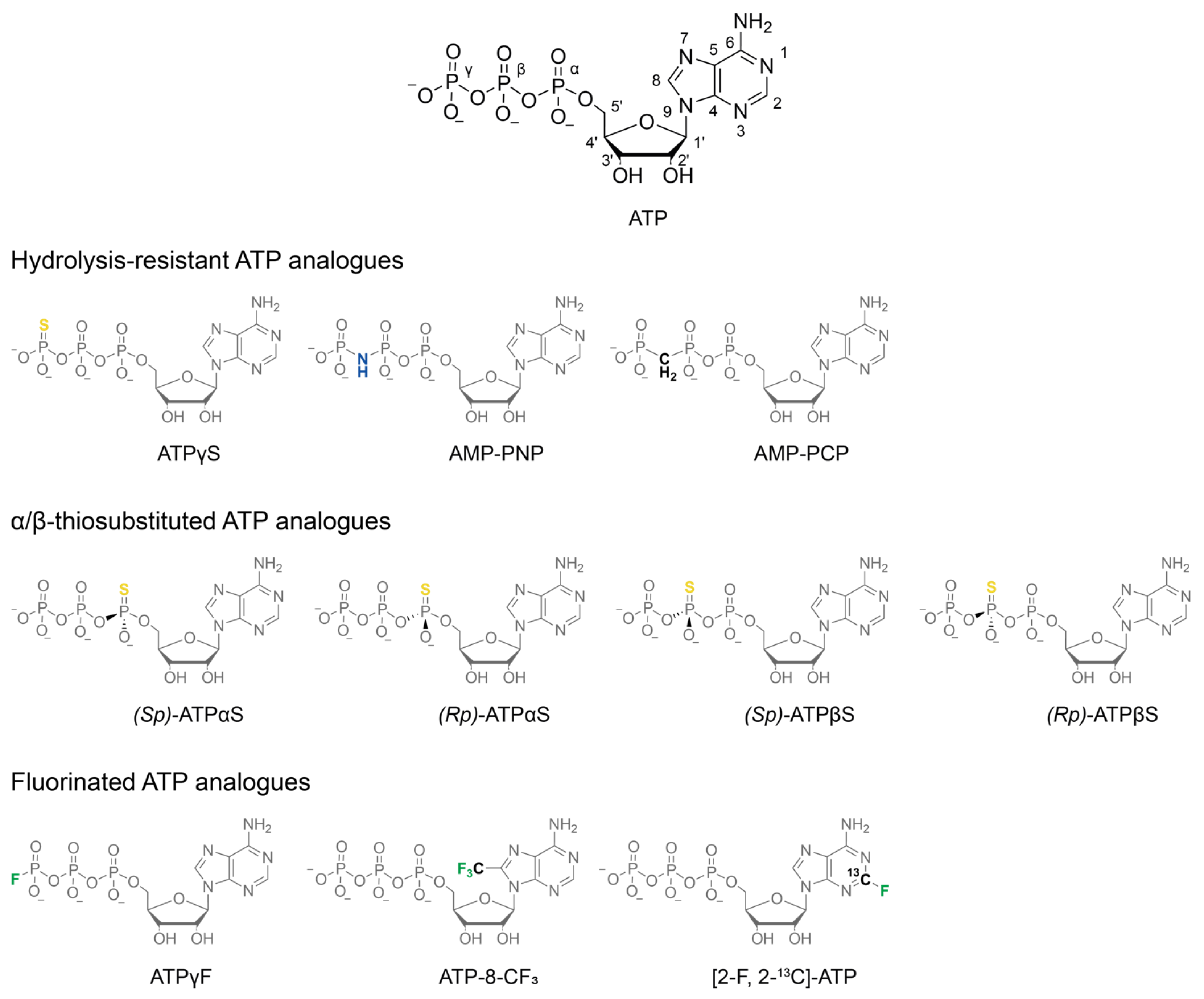Biophysica 05 00009 g001 Biophysica 05 00009 g001