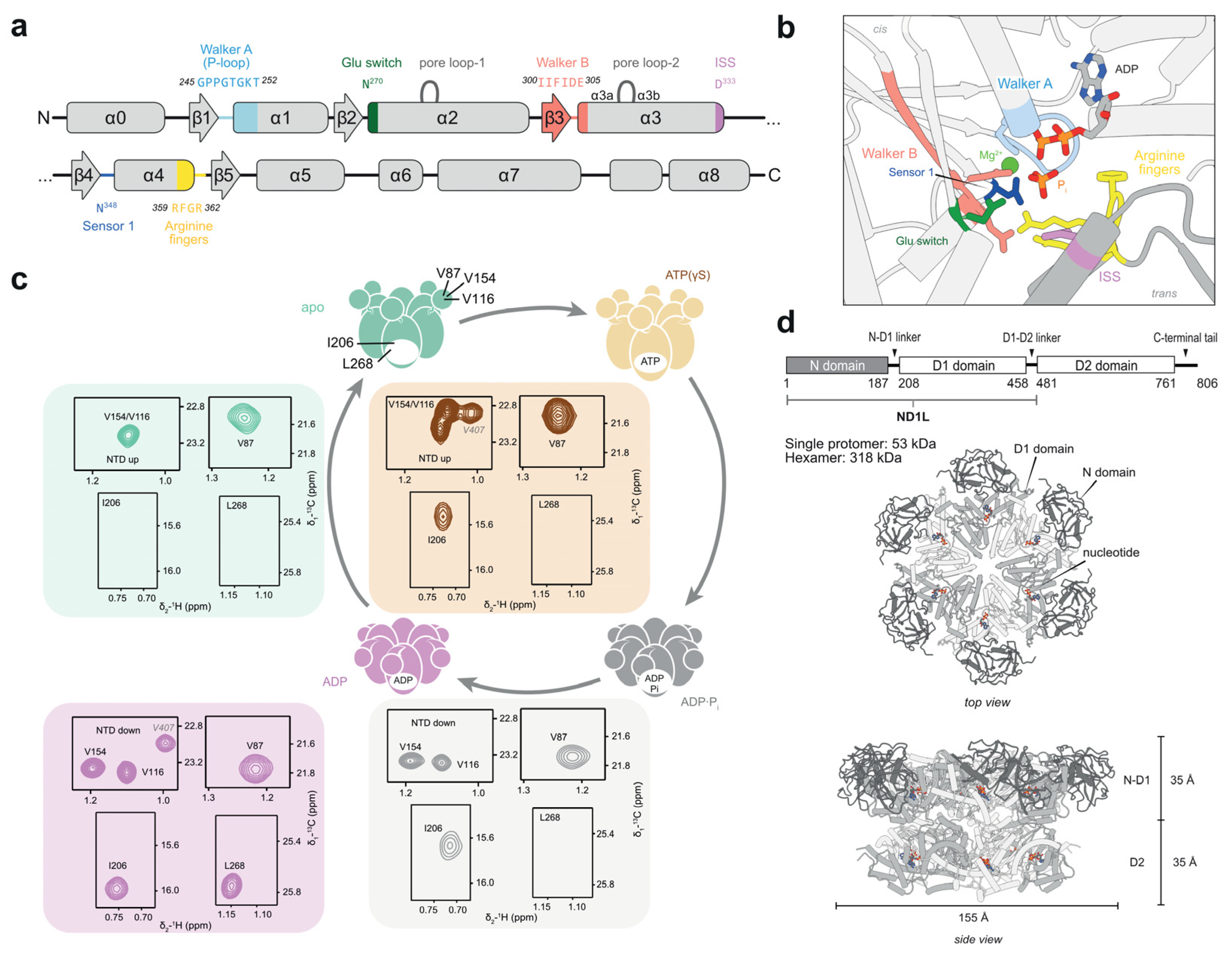 Biophysica 05 00009 g002 Biophysica 05 00009 g002