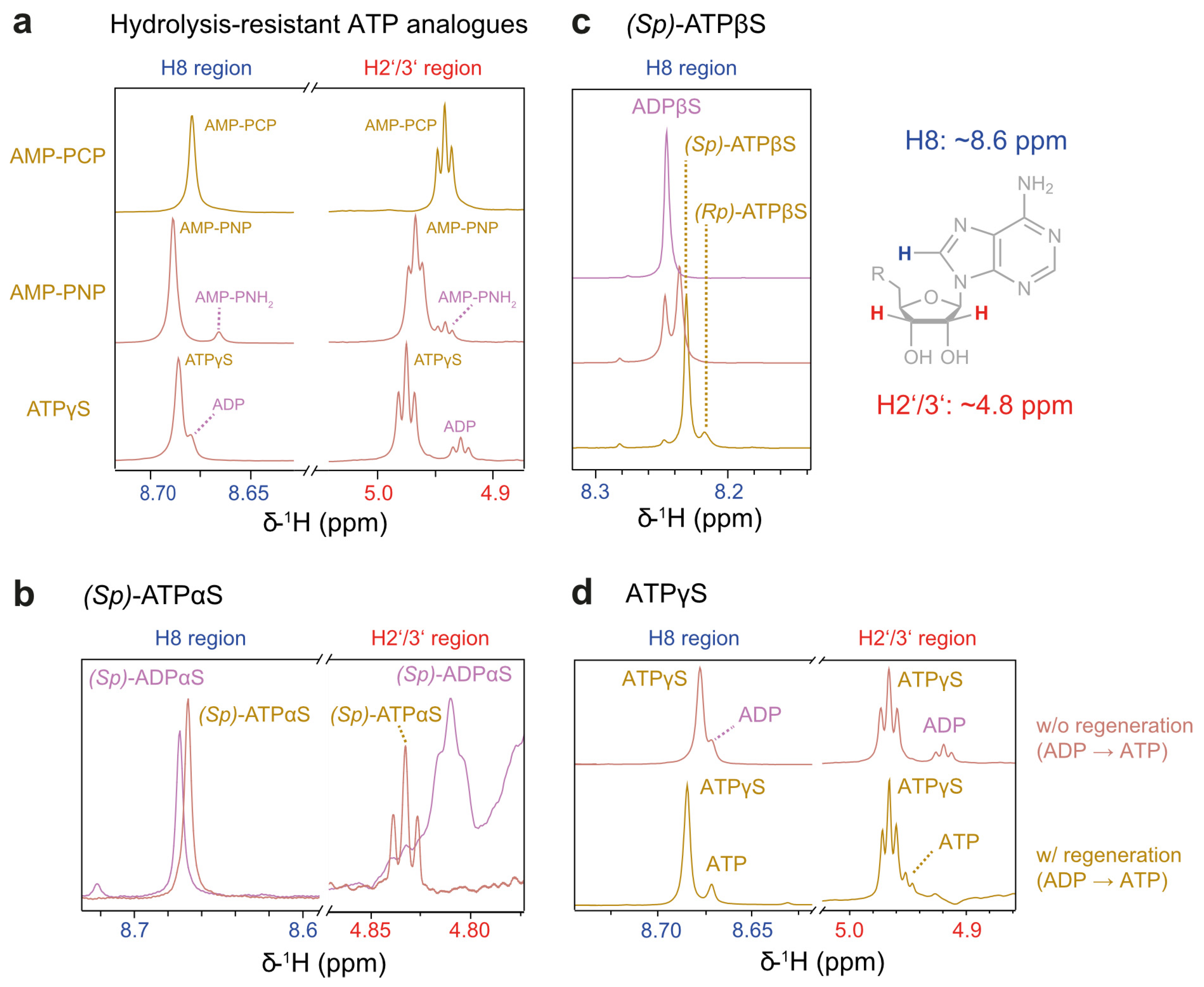 Biophysica 05 00009 g003 Biophysica 05 00009 g003