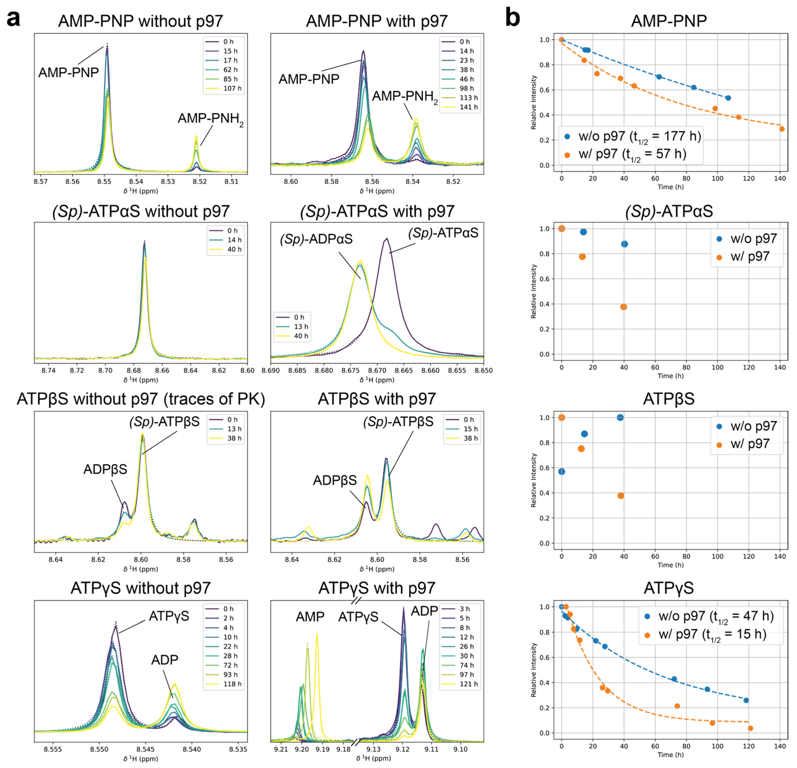 Biophysica 05 00009 g004 Biophysica 05 00009 g004